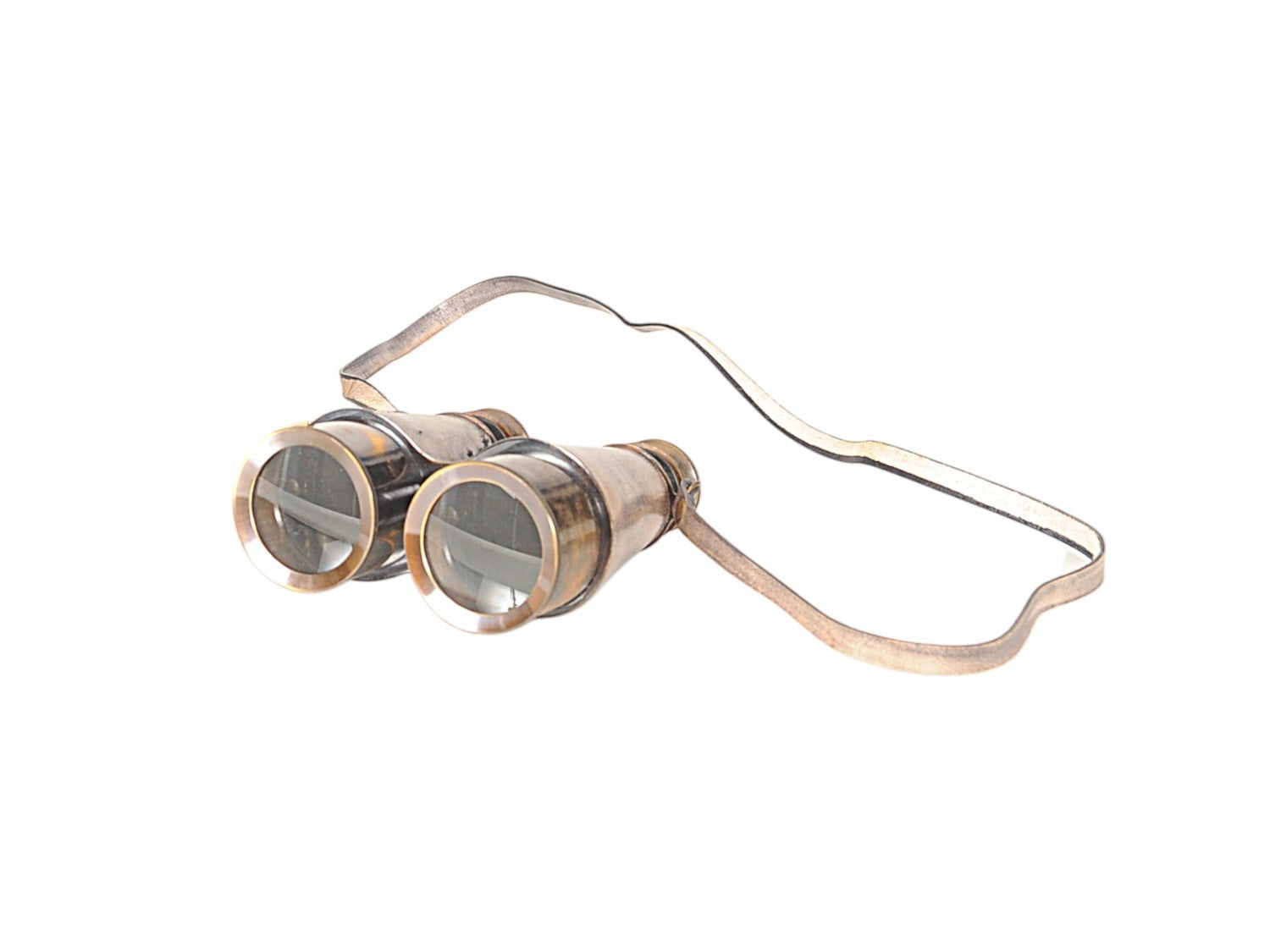 Rustic Brass And Leather Binoculars In Wood Storage Box