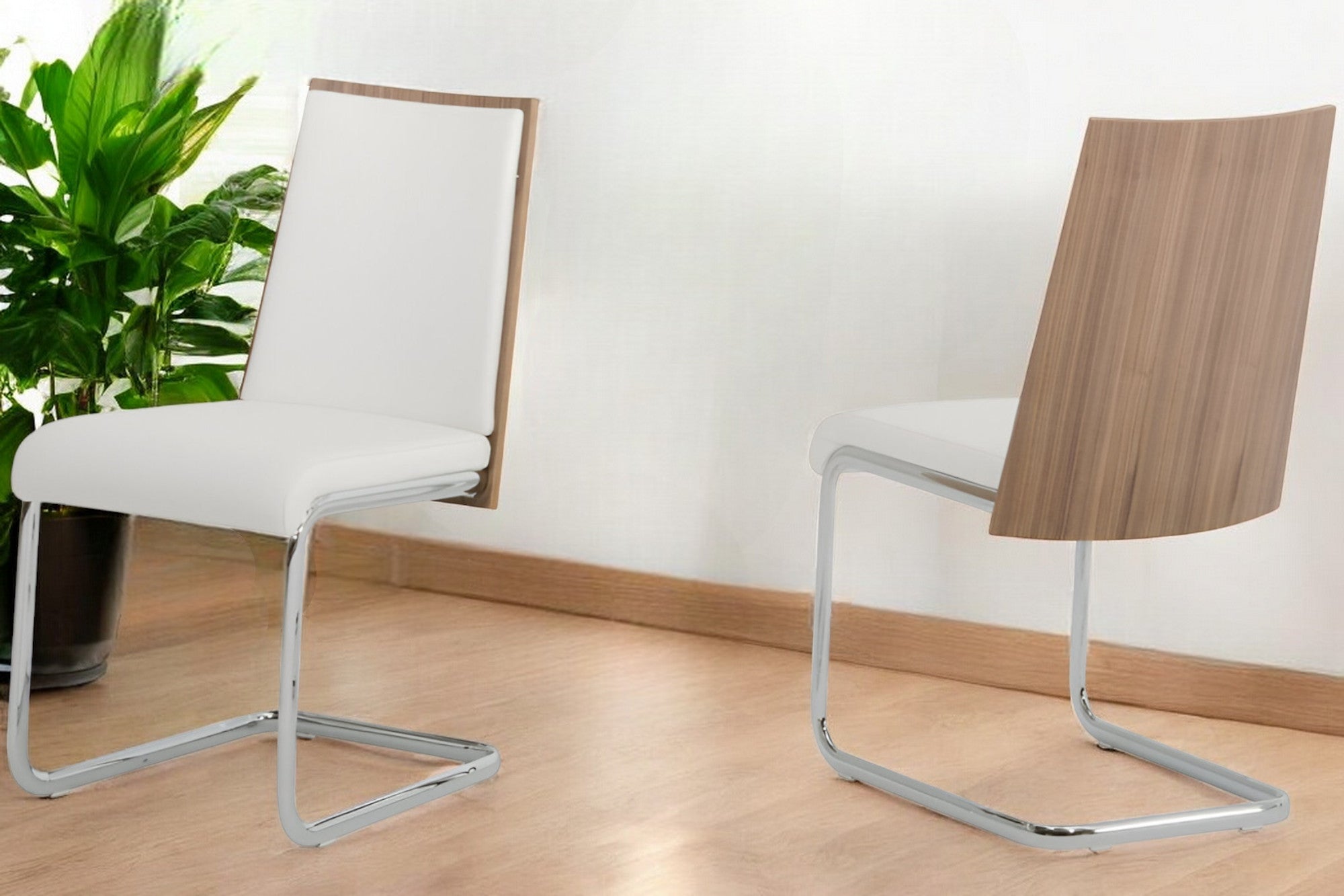 Set Of 2 Modern White Faux Leather And Walnut Finish Dining Chairs