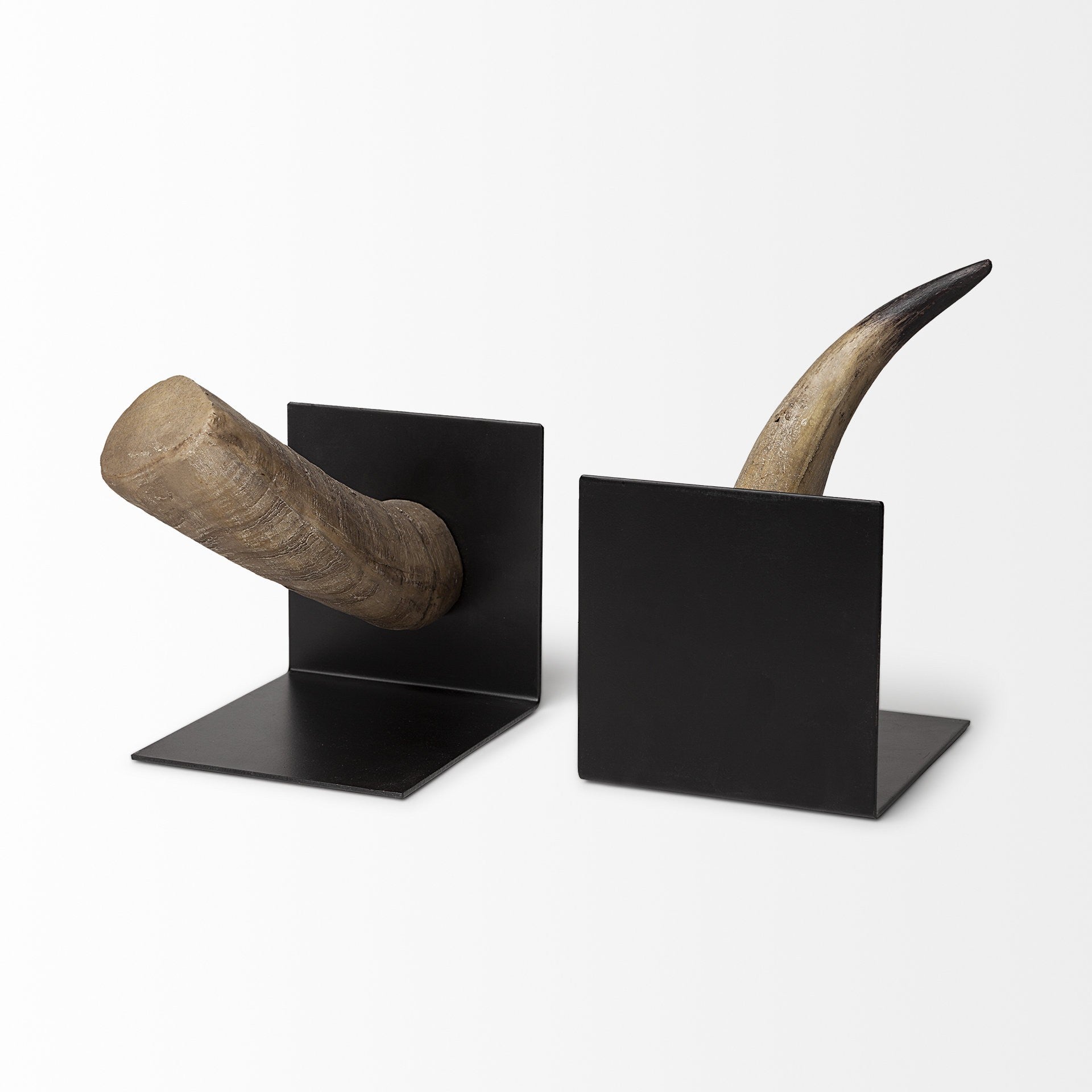 Bull Horn Replica Bookends