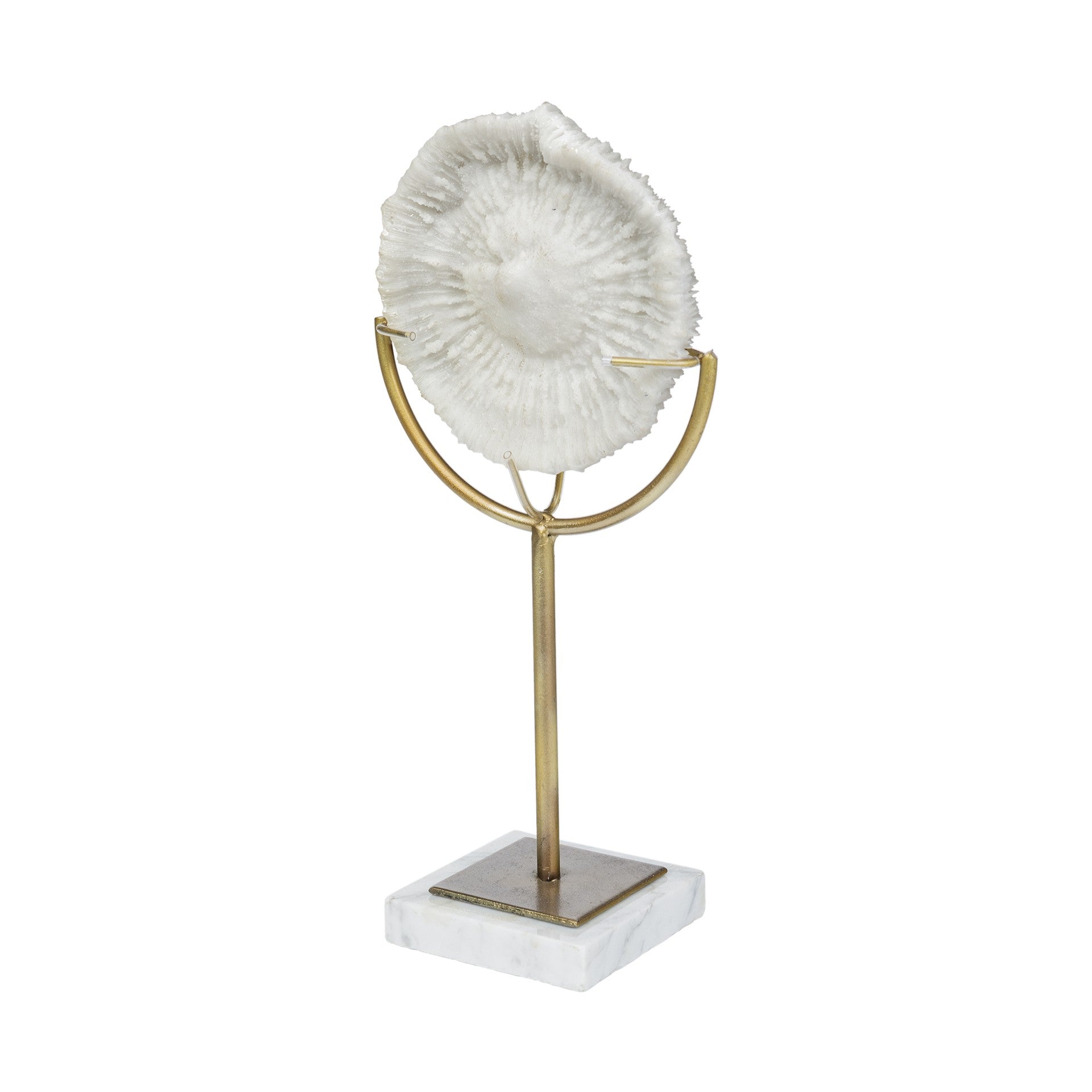 15" Gold and White Metal and Resin Sand Dollar Tabletop Sculpture