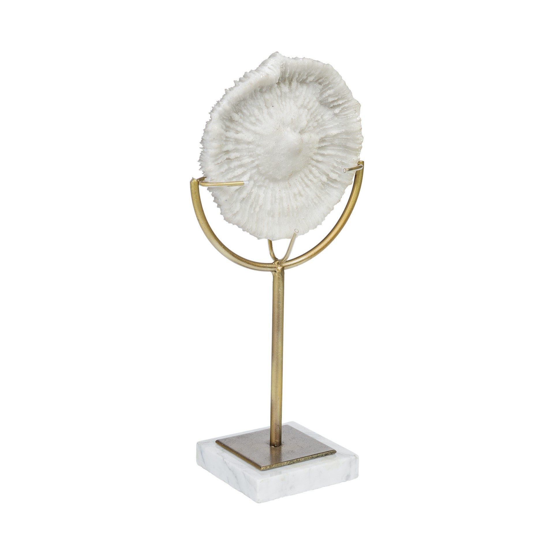 15" Gold and White Metal and Resin Sand Dollar Tabletop Sculpture