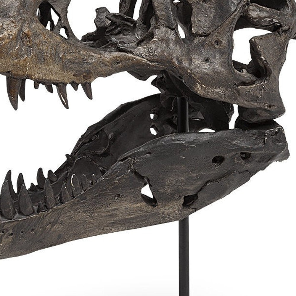 Brown Resin Tyrannosaurus Rex Skull Decor Piece