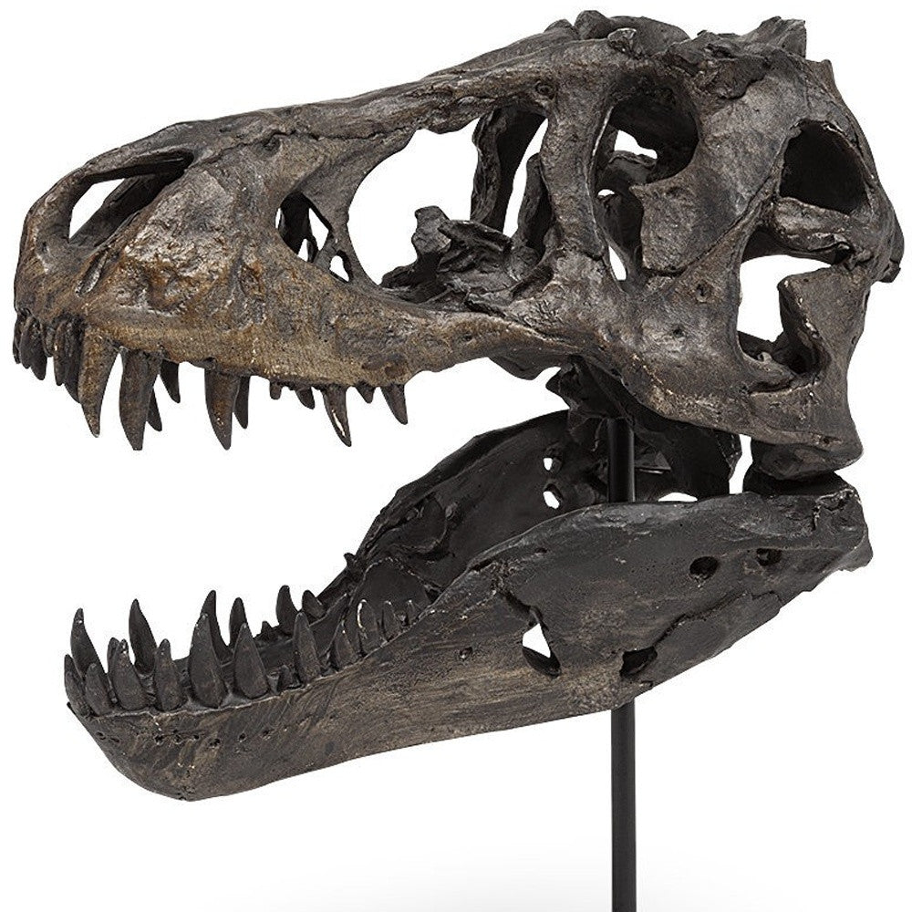 Brown Resin Tyrannosaurus Rex Skull Decor Piece