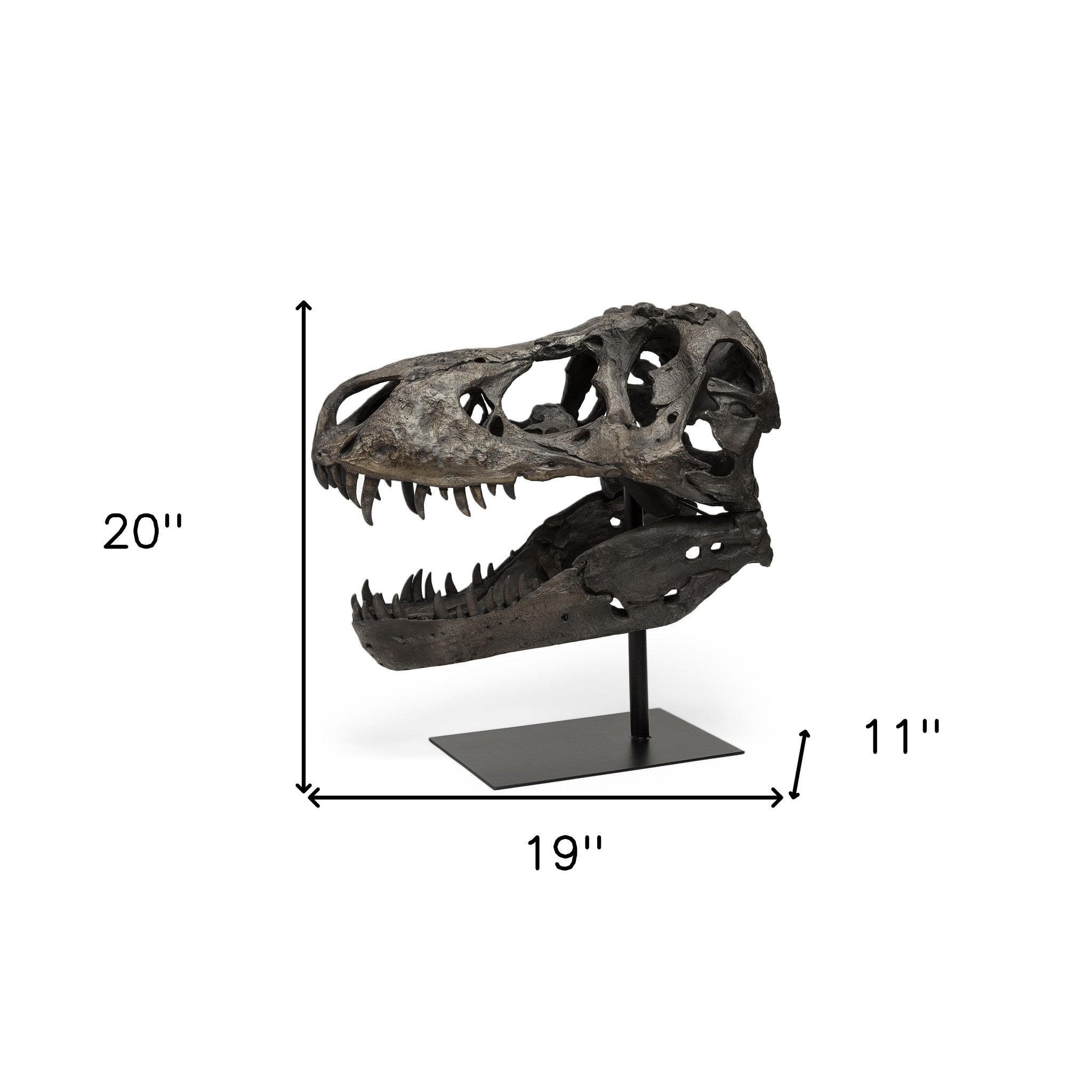 Authentic Replica T Rex Skull Sculpture