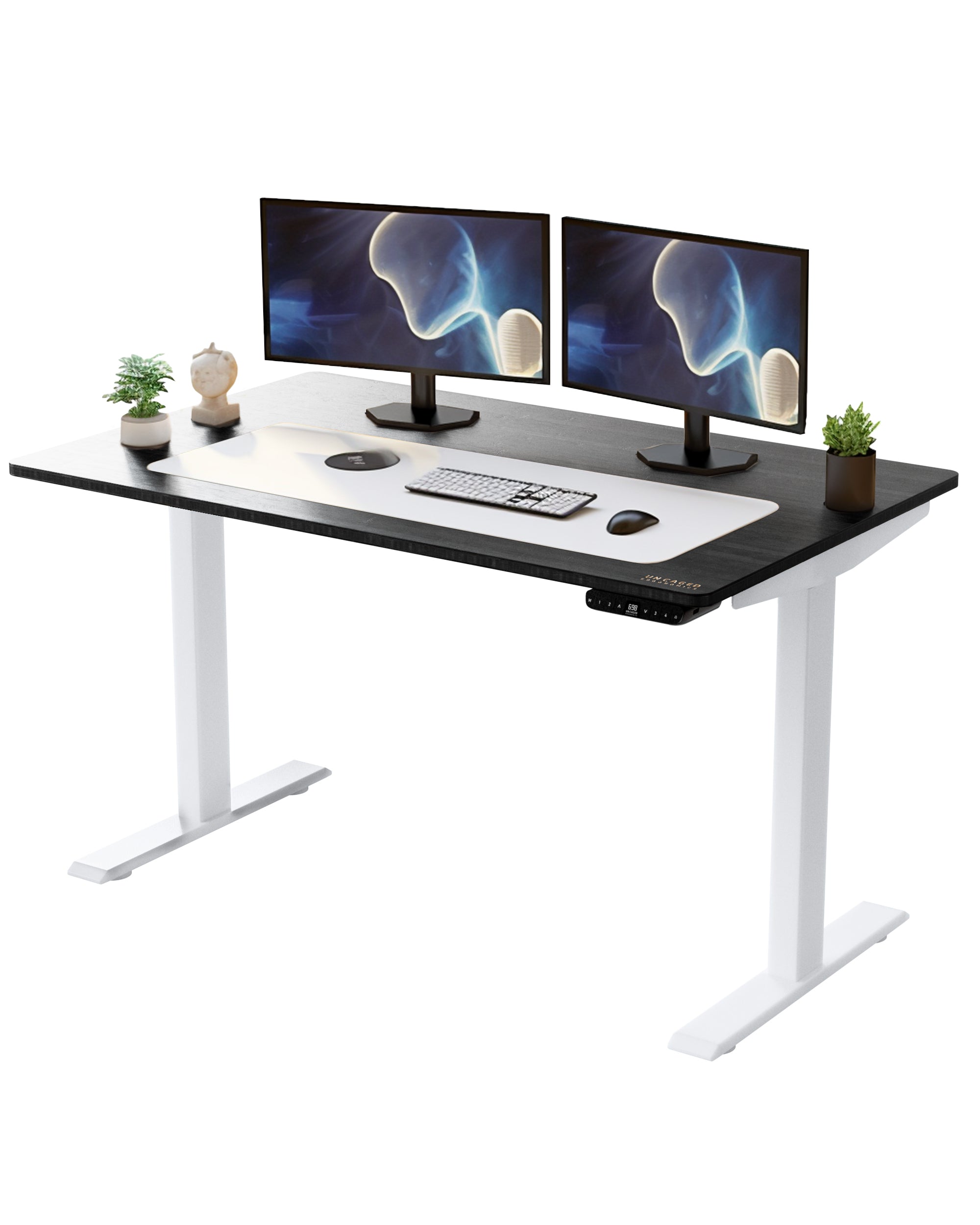 White and Black 52" Bamboo Dual Motor Electric Office Adjustable Computer Desk