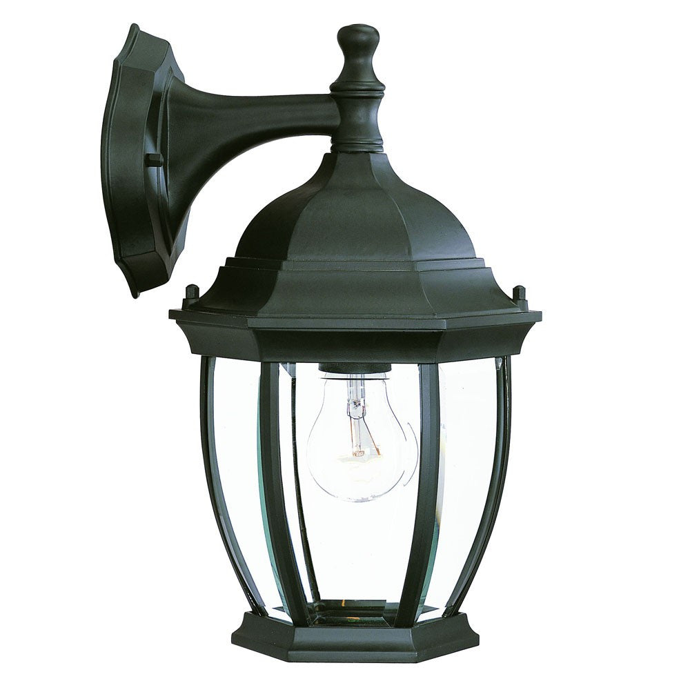 Matte Black Wide Hanging Lantern Wall Light