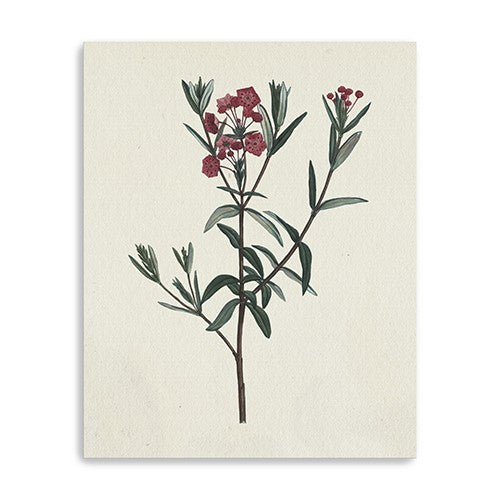 Singular Red Blossom Branch Unframed Print Wall Art