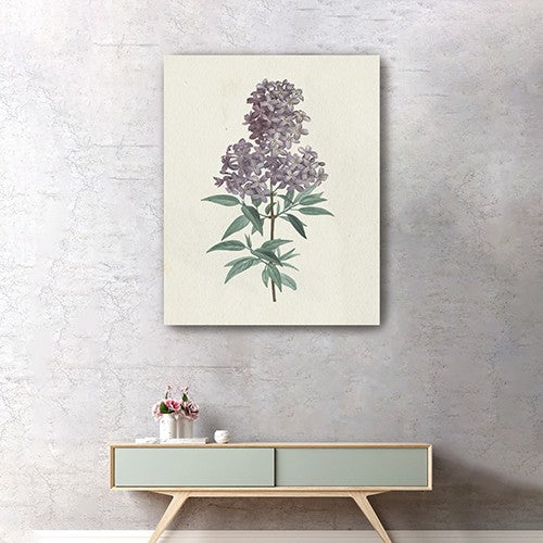 Singular Purple Blossom Branch Unframed Print Wall Art