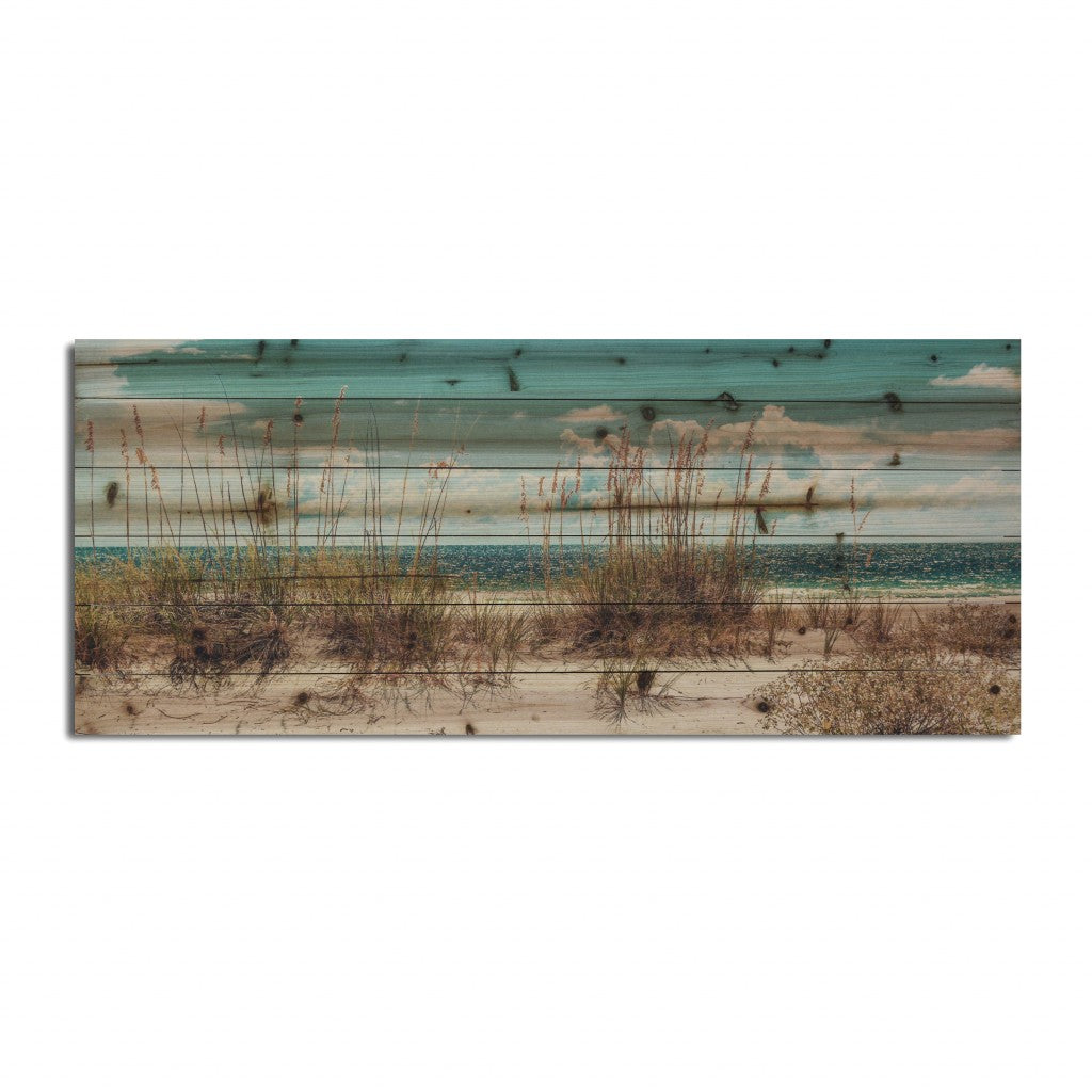 Long Ocean Sand Dunes Unframed Photograph Wall Art