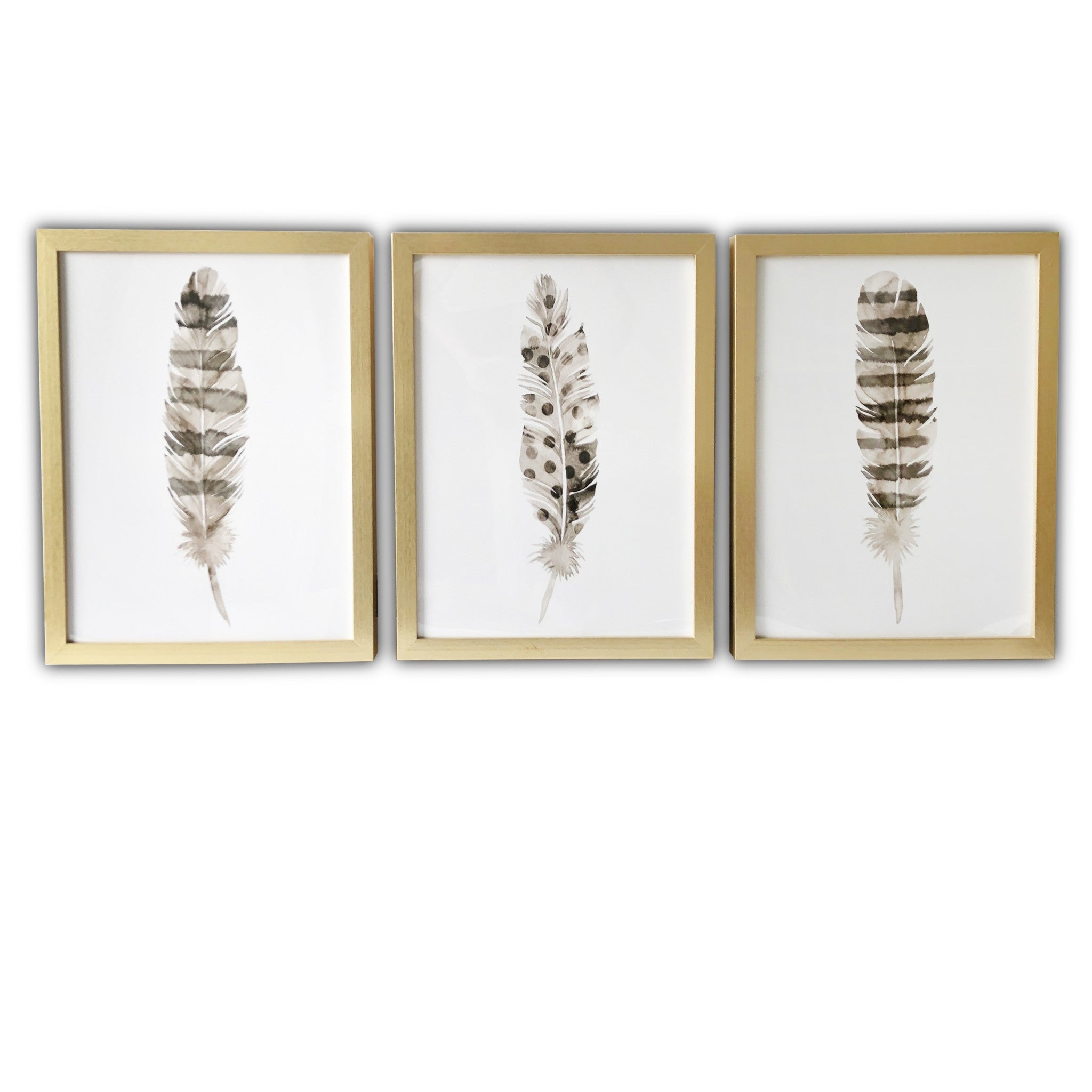 Set Of Three Three Neutral Brown Feathers Framed Wall Art Set Picture Frame Graphic Art Wall Art