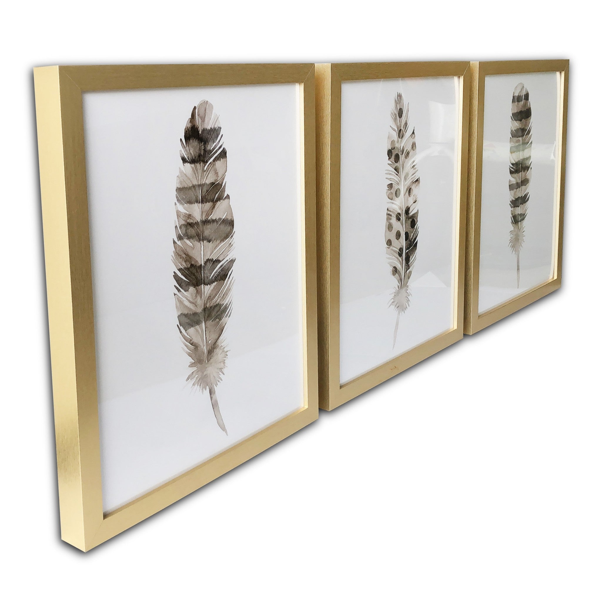 Set Of Three Three Neutral Brown Feathers Framed Wall Art Set Picture Frame Graphic Art Wall Art