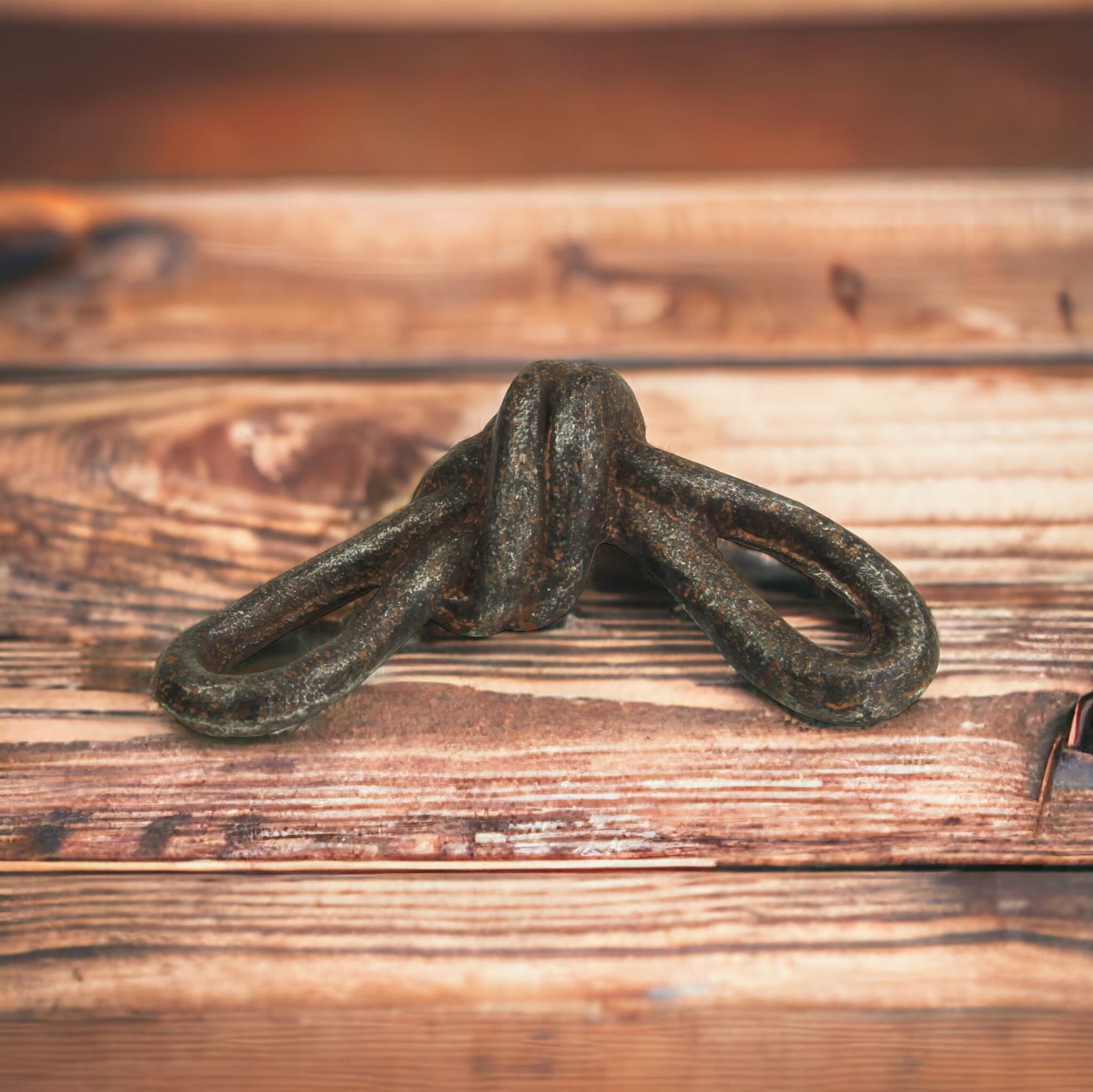 Rustic Gray Cast Iron Knot Sculpture