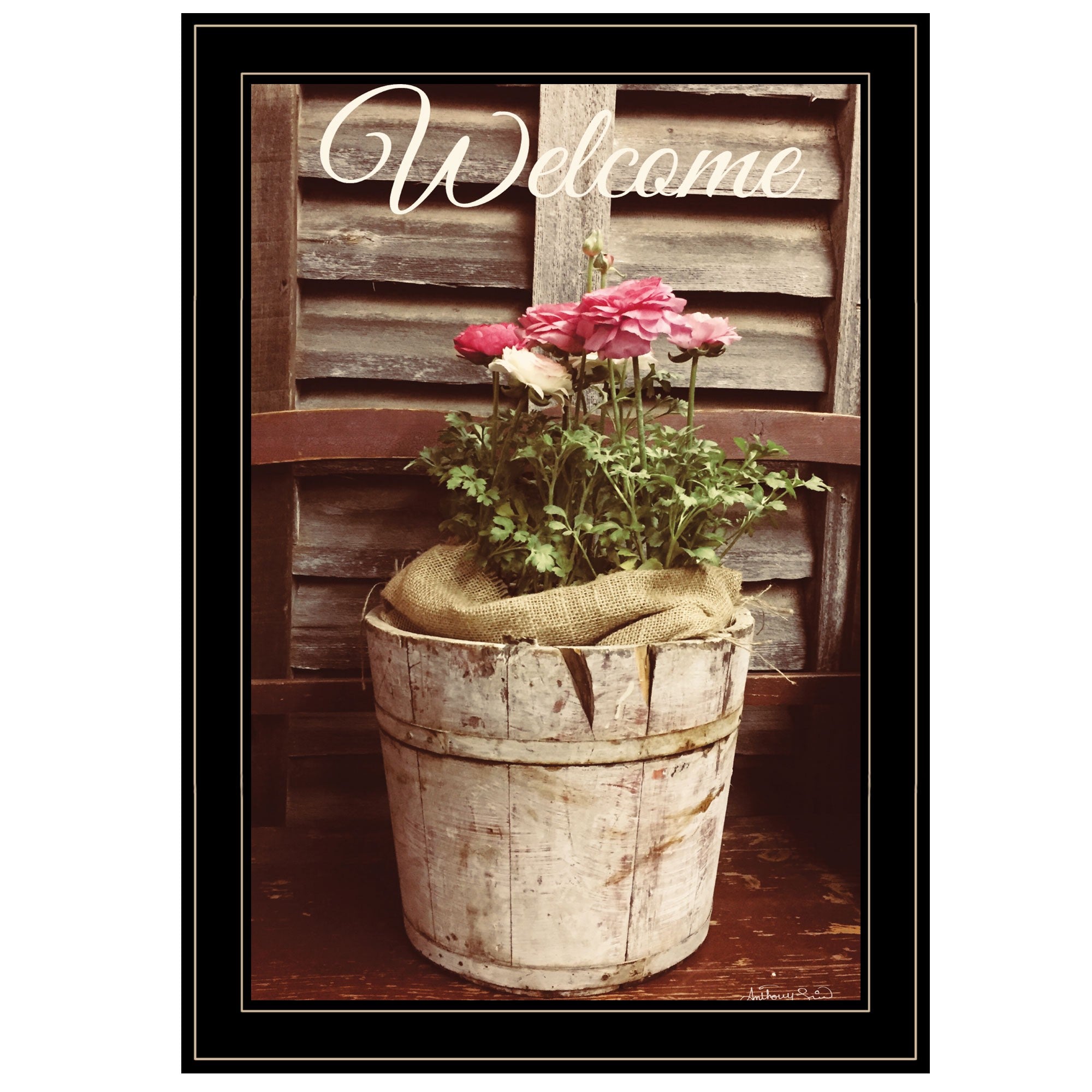 Welcome Roses 2 Black Framed Print Wall Art