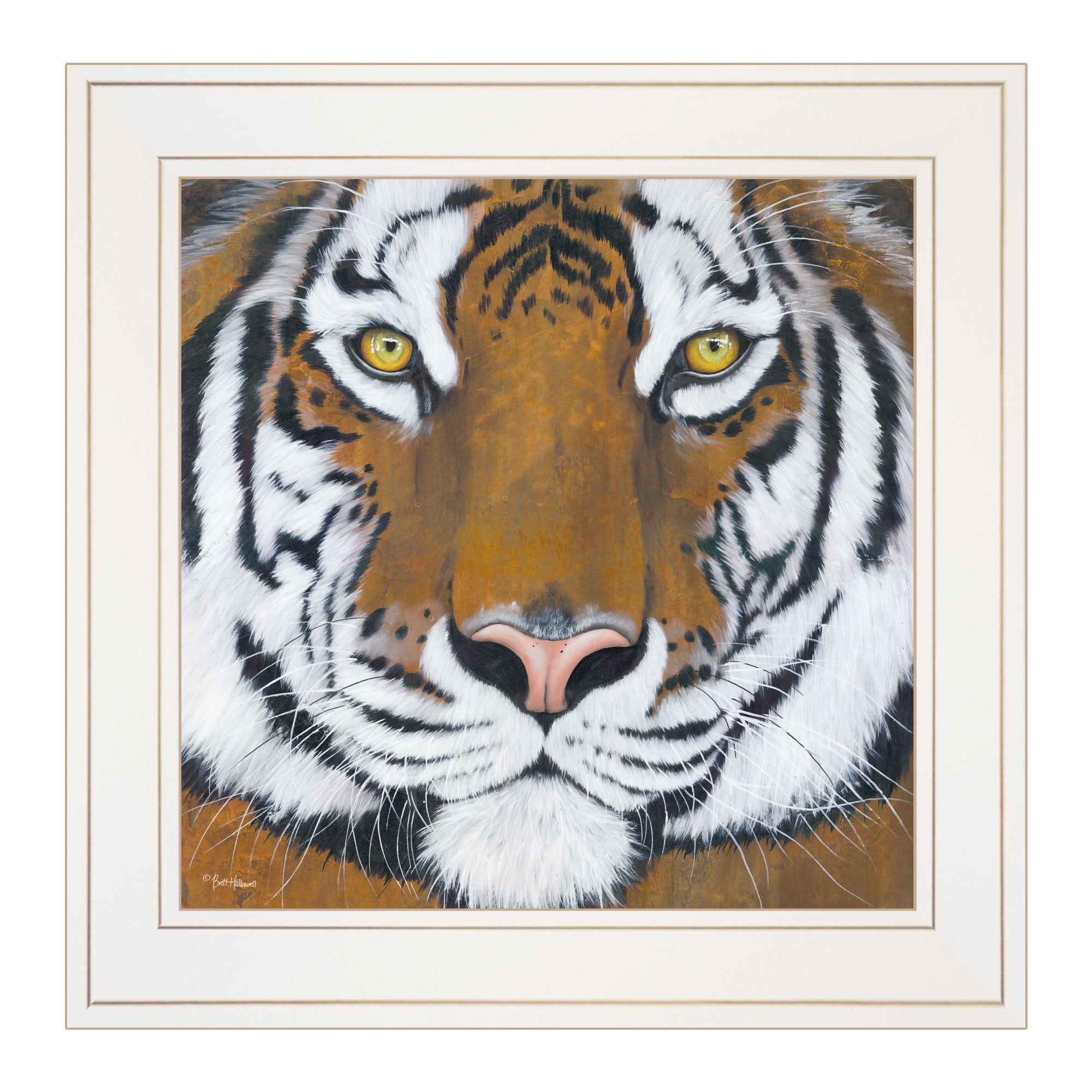 Tiger Gaze 1 White Framed Print Wall Art