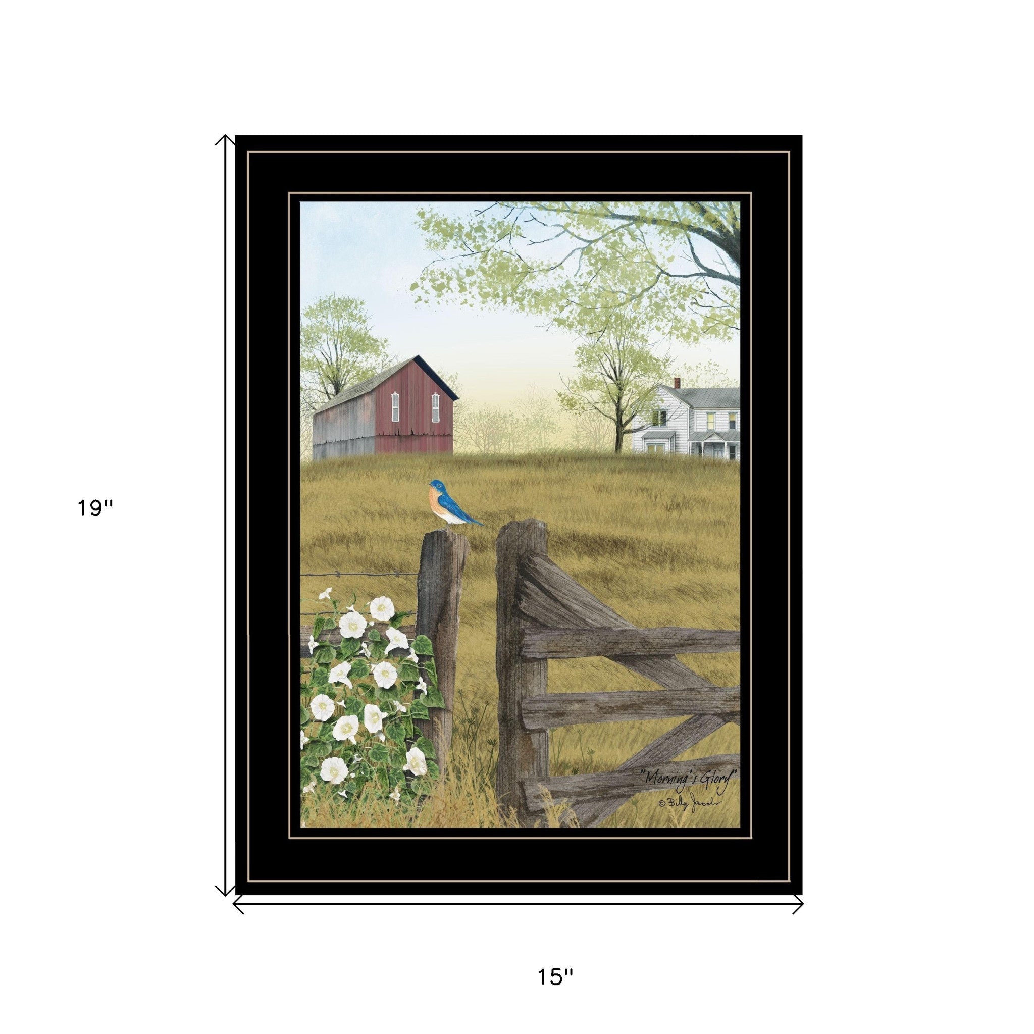 Mornings Glory 2 Black Framed Print Wall Art