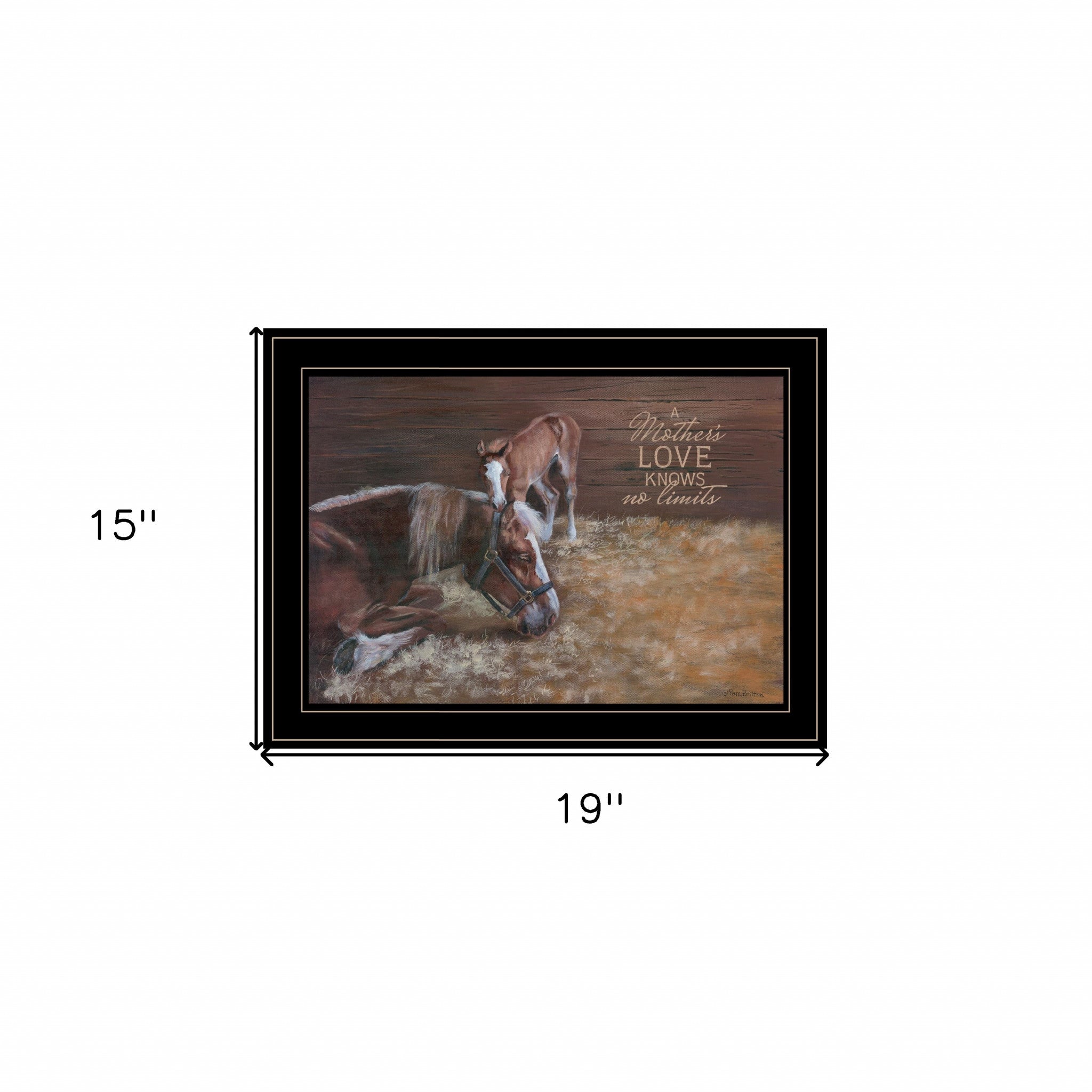 A Mother Love Horses 2 Black Framed Print Wall Art