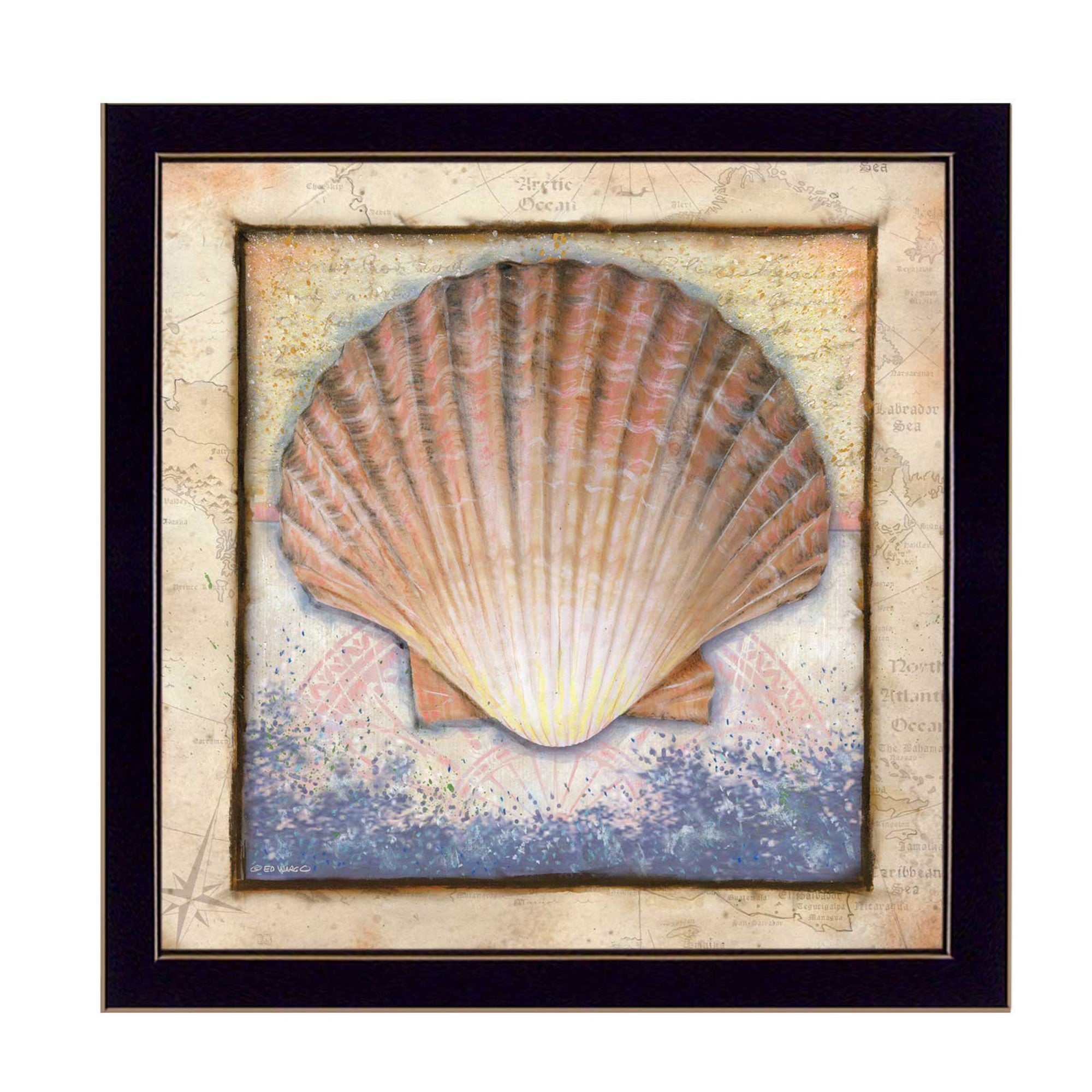 Shell Black Framed Print Wall Art