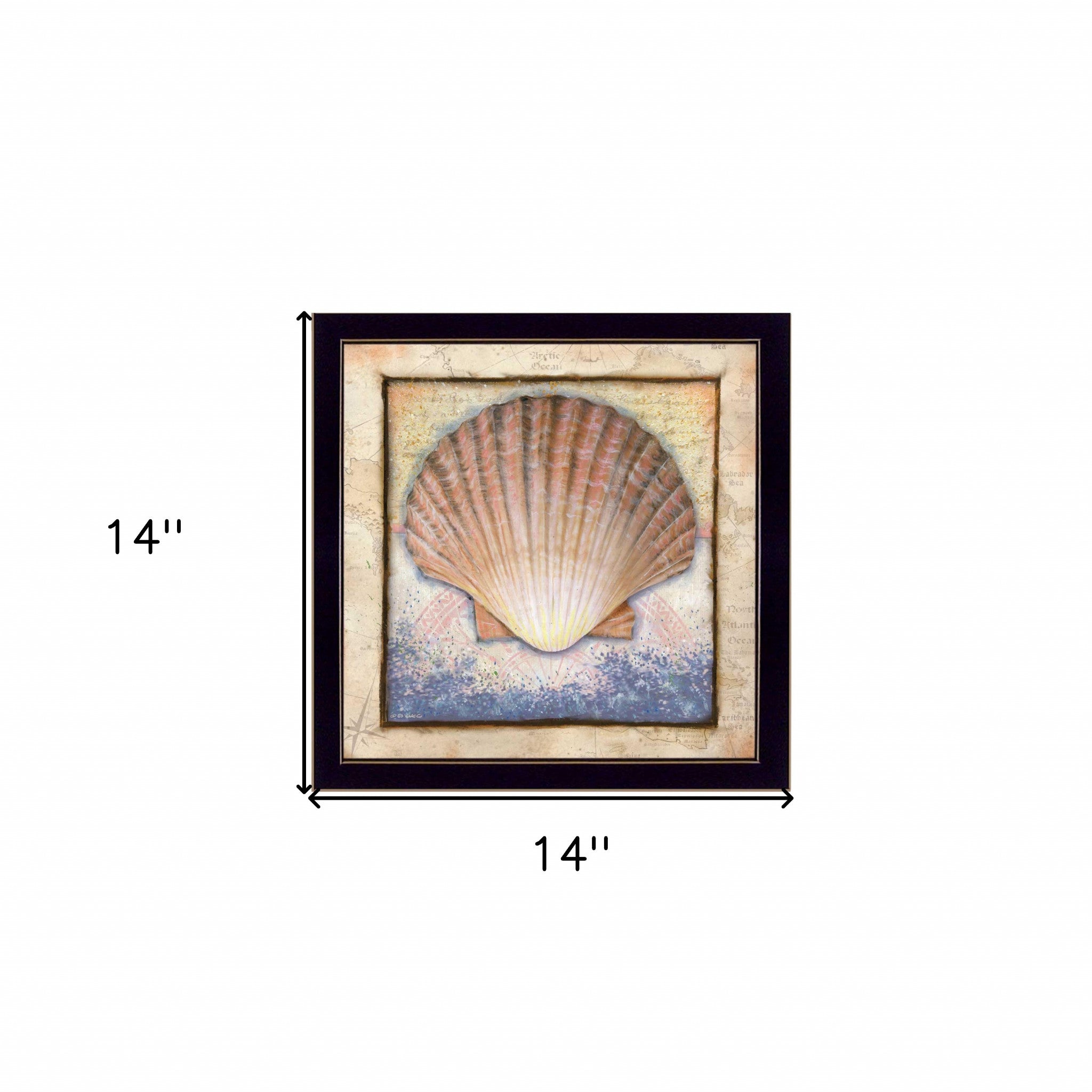 Shell Black Framed Print Wall Art