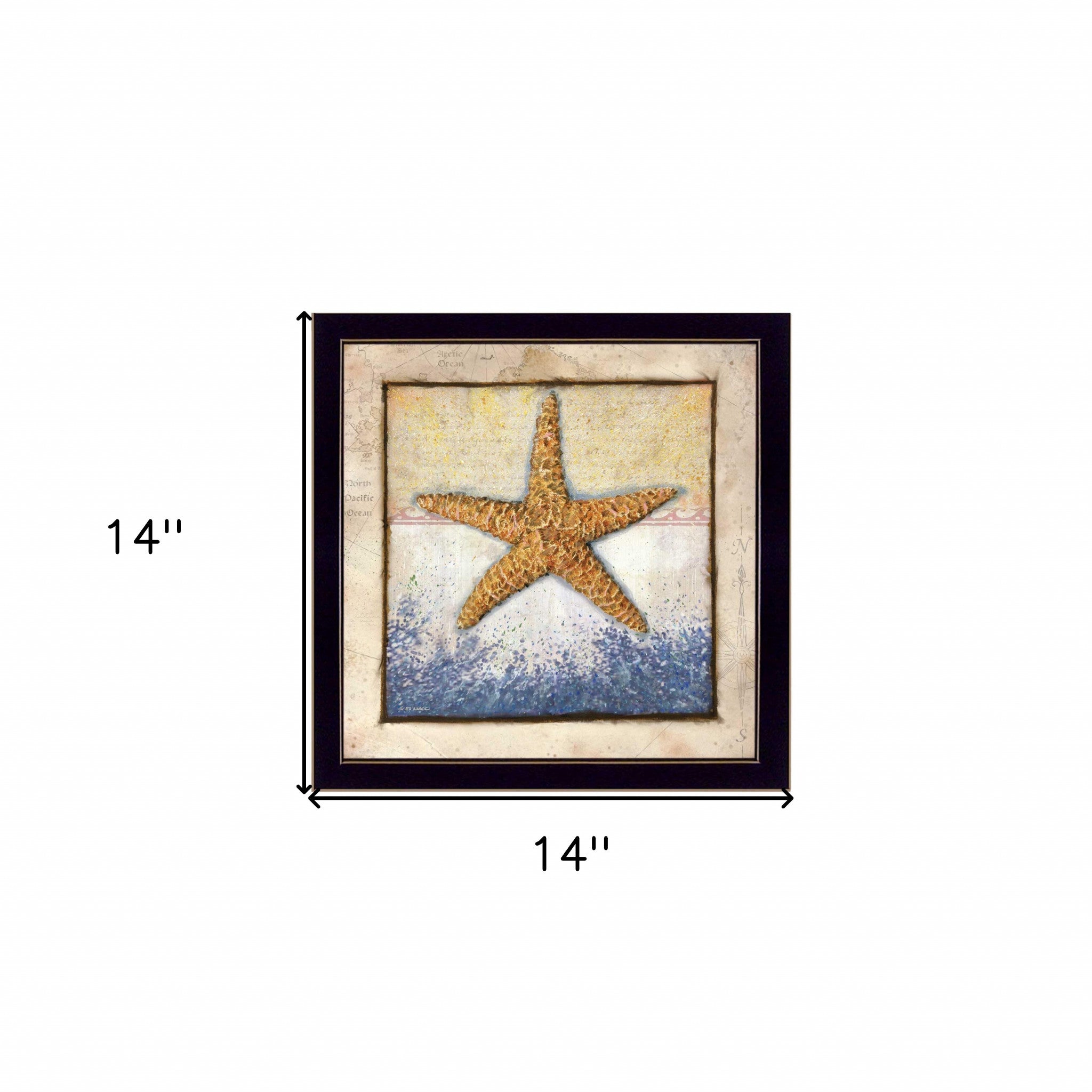 Starfish Black Framed Print Wall Art