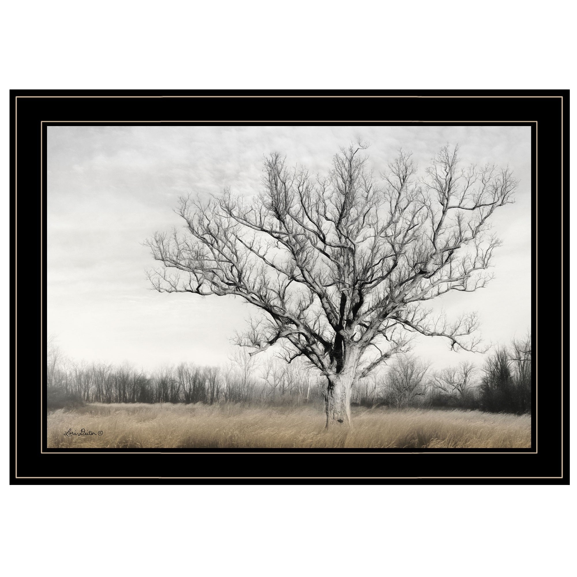 Earth and Sky 2 Black Framed Print Wall Art