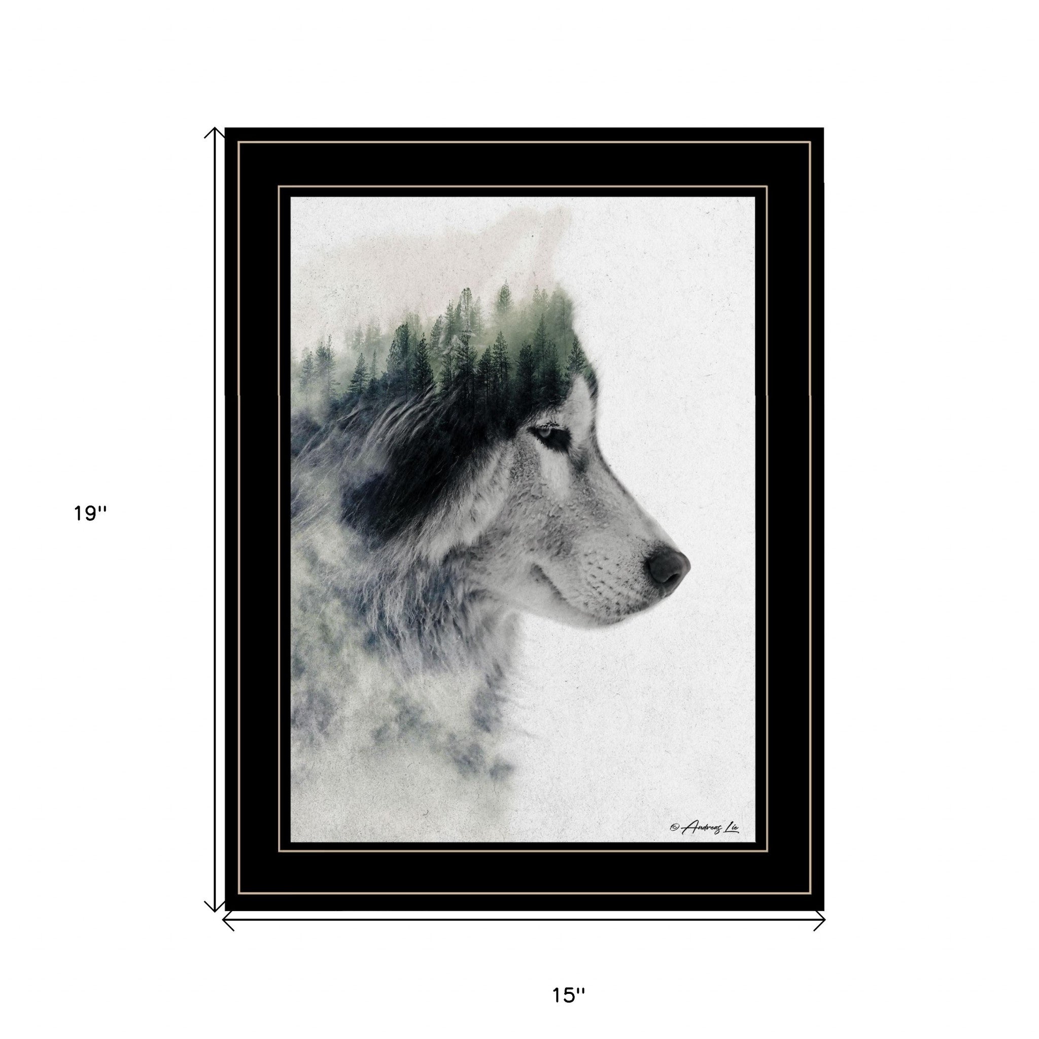 Wolf Stare 2 Black Framed Print Wall Art