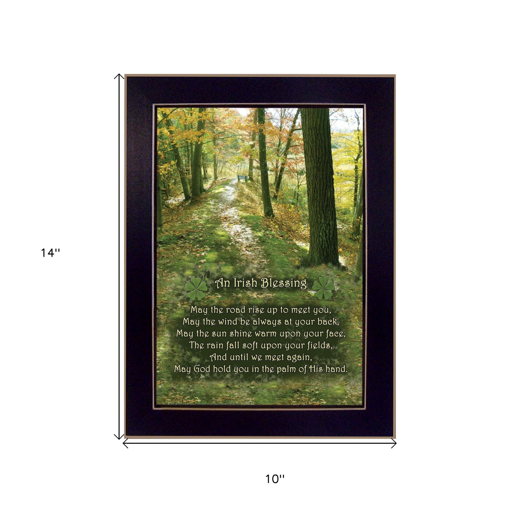 Irish Blessing 3 Black Framed Print Wall Art