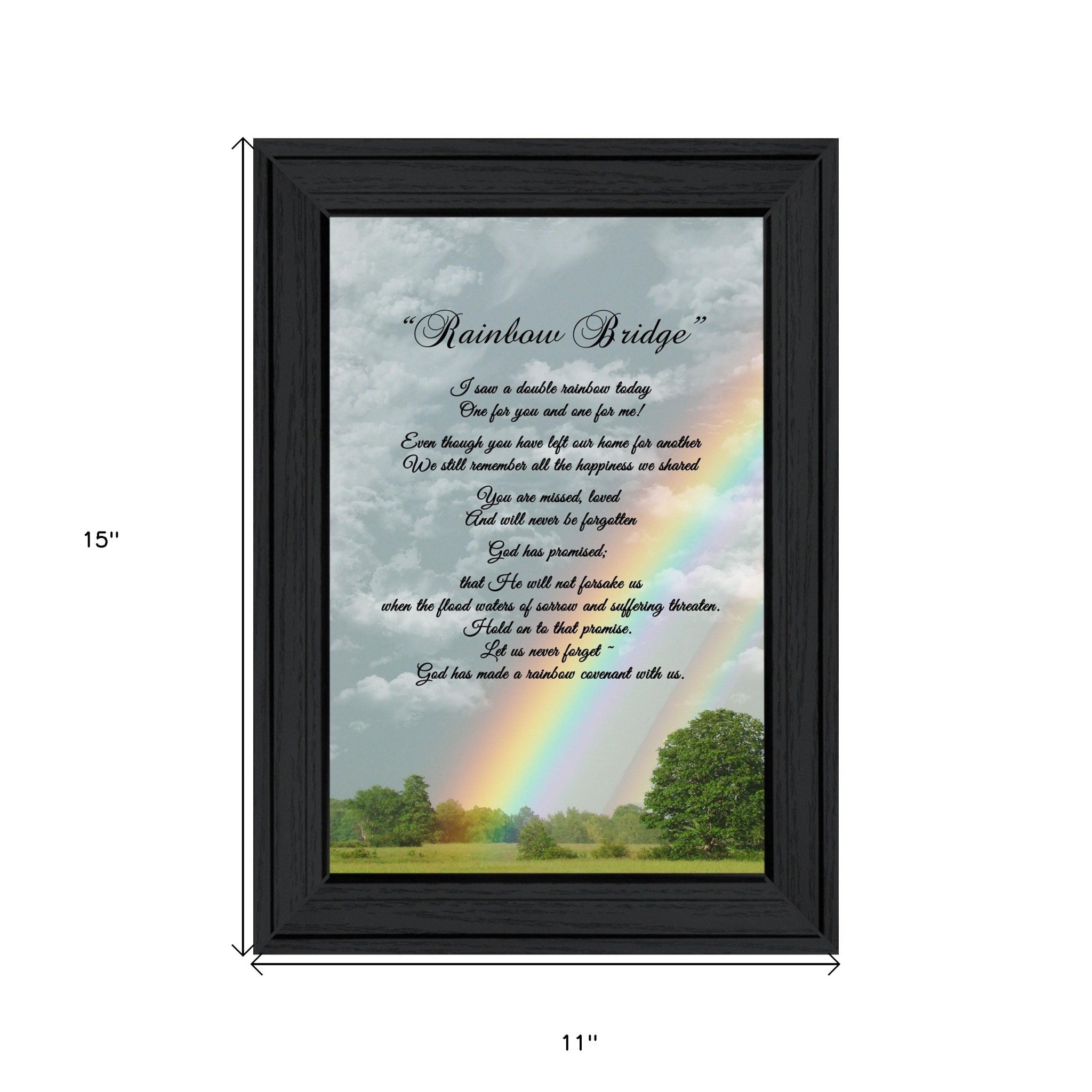 Rainbow Bridge 3 Black Framed Print Wall Art