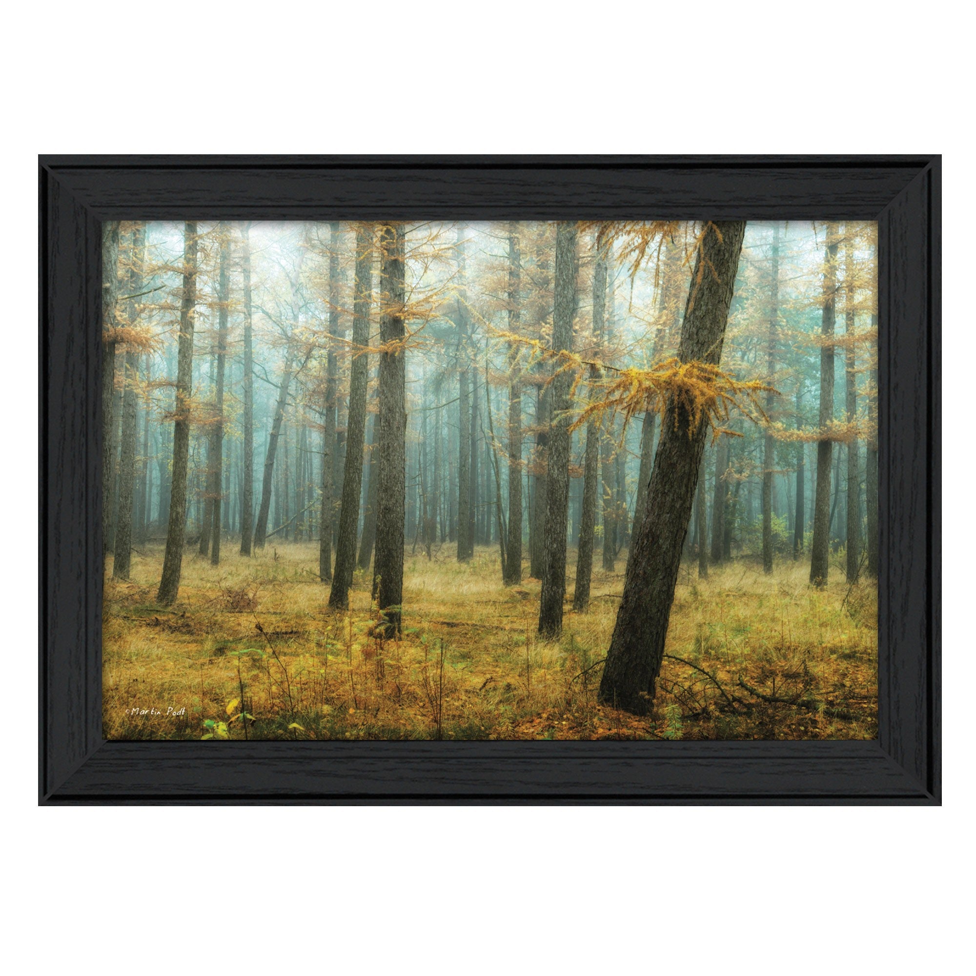 Holterberg in the Mist Black Framed Print Wall Art