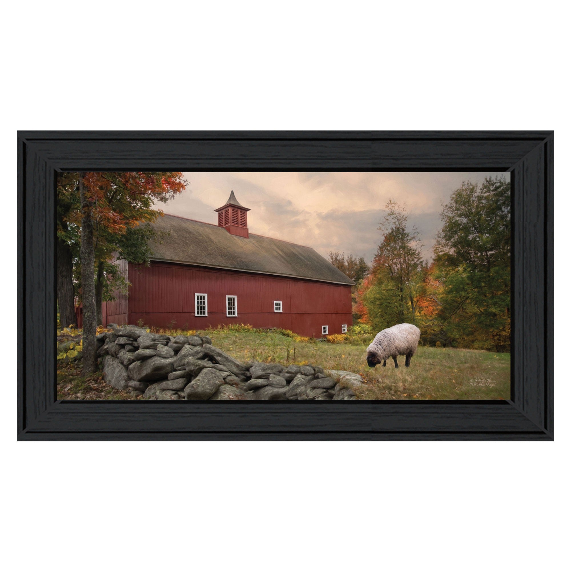 The Lone Gazer Black Framed Print Wall Art