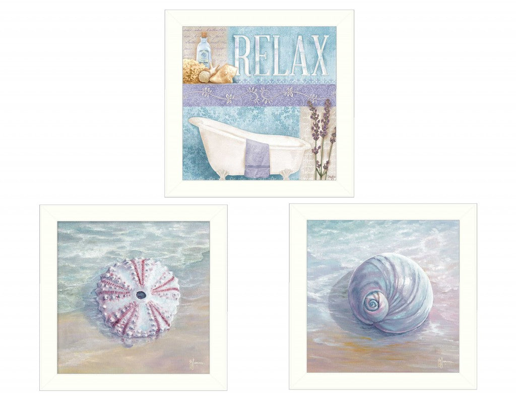 Set Of Three Shells I White Framed Print Bathroom Wall Art