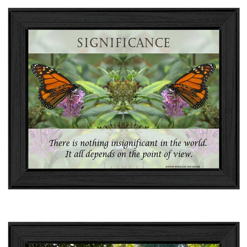 Set Of Two Beauty 1 Black Framed Print Wall Art