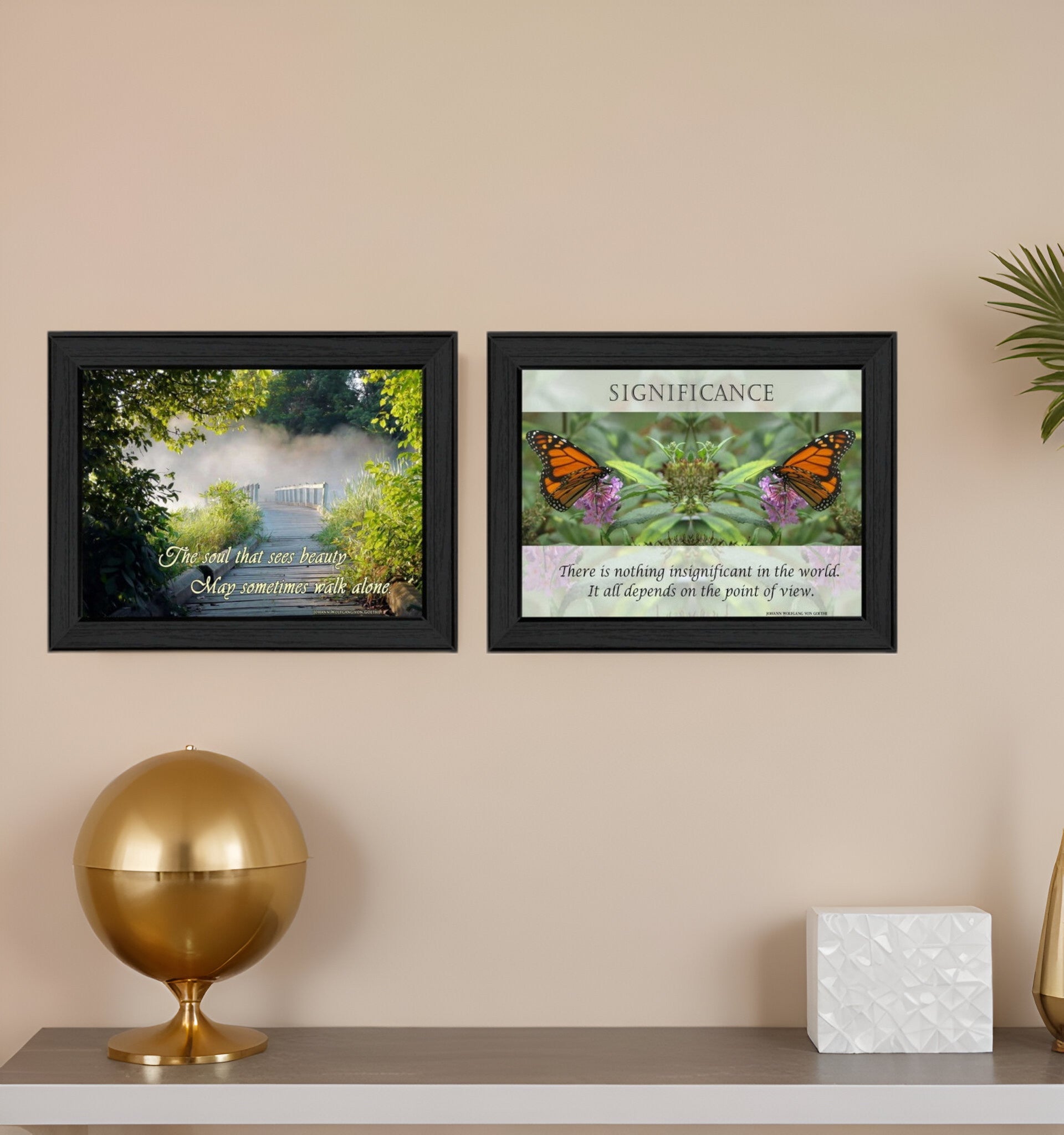 Set Of Two Beauty 1 Black Framed Print Wall Art