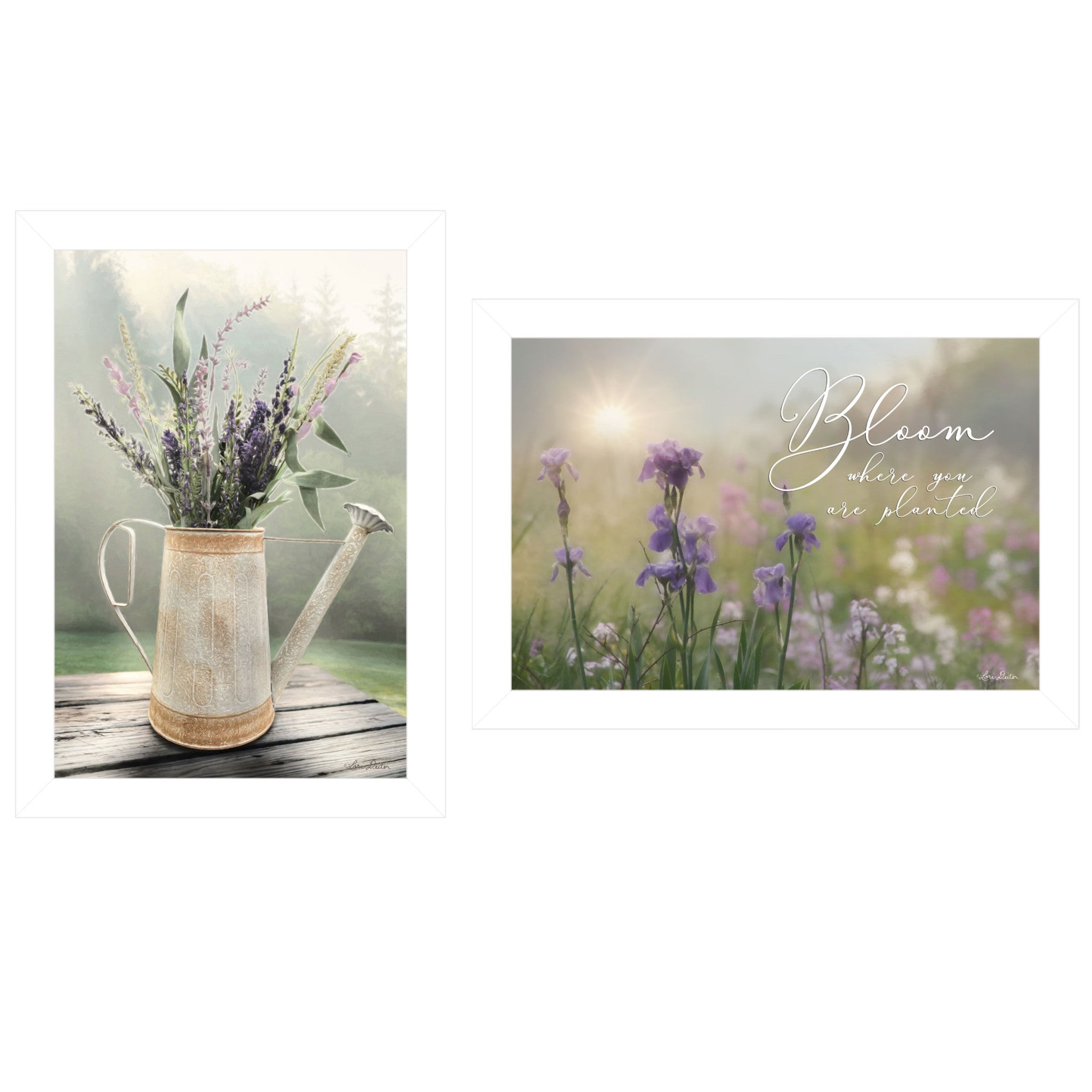 Set Of Two Bloom Where You are Planted 3 White Framed Print Wall Art