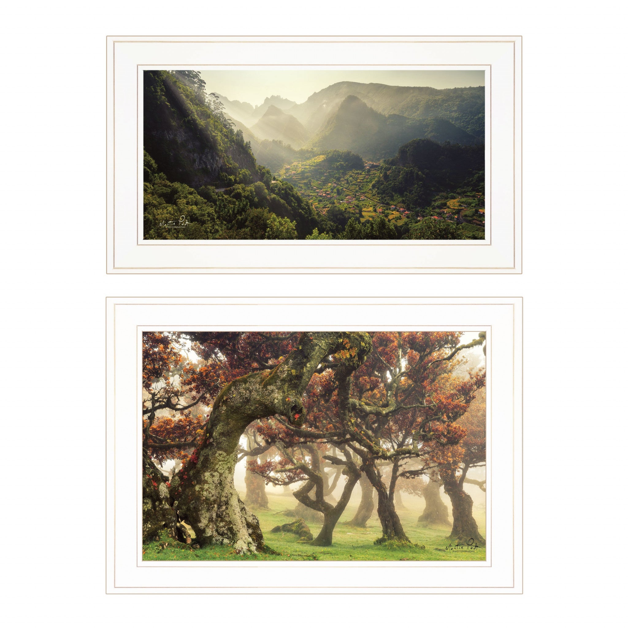 Set Of Two The Land of Hobbits 1 White Framed Print Wall Art