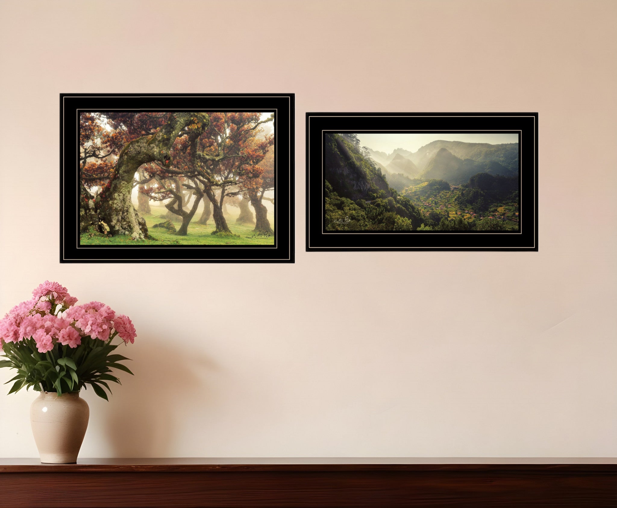 Set Of Two The Land of Hobbits 2 Black Framed Print Wall Art