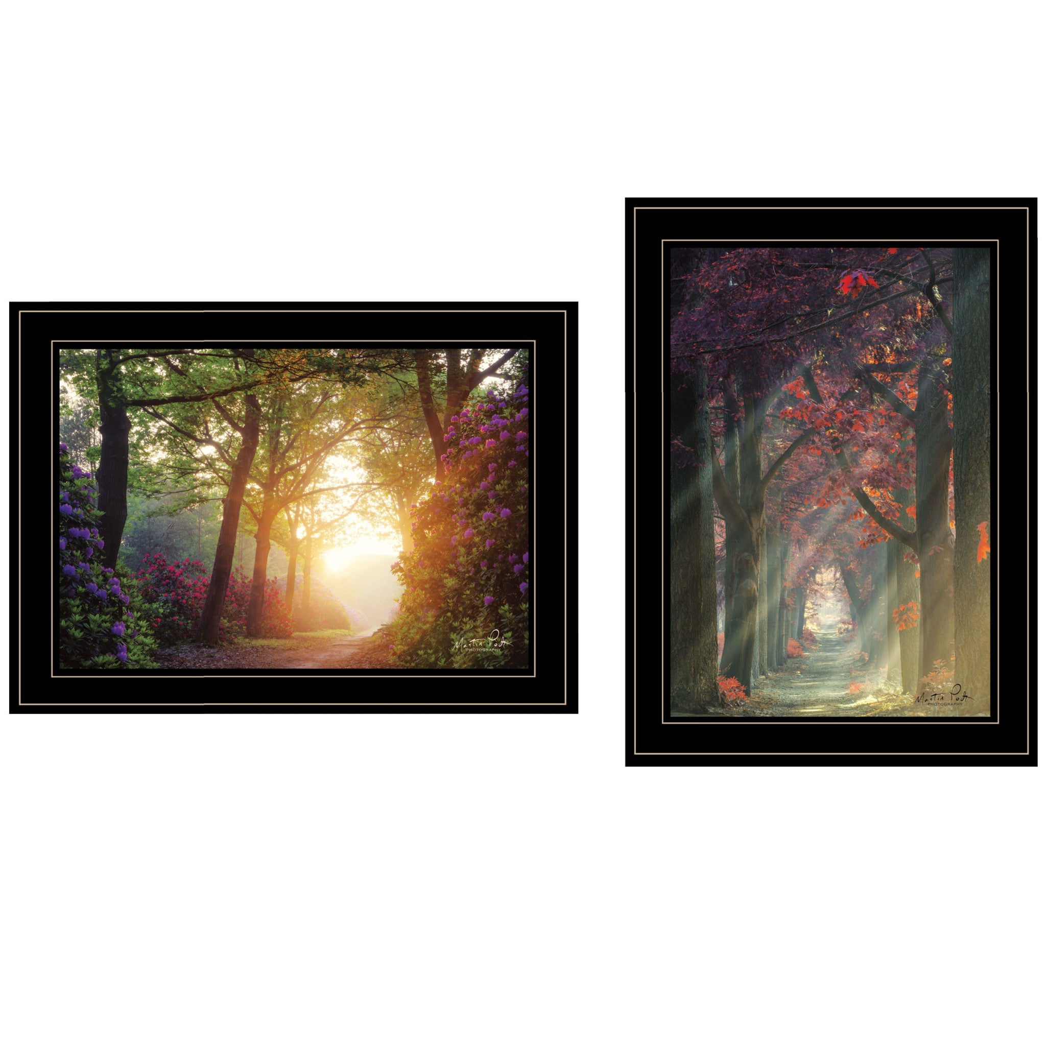 Set Of Two Path of Happiness 2 Black Framed Print Wall Art