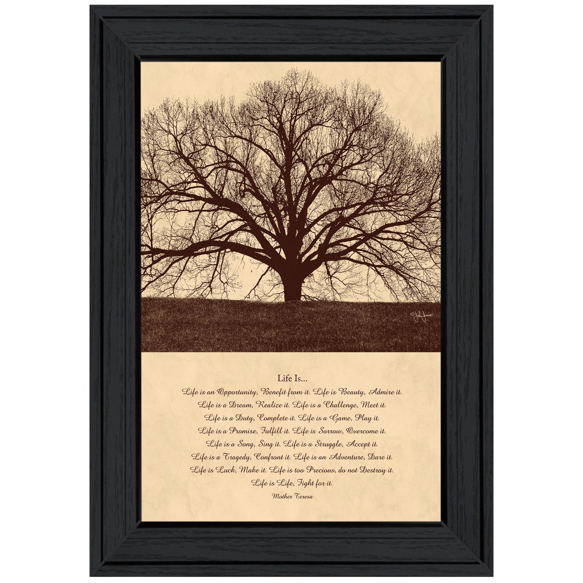 Life Is 6 Black Framed Print Wall Art