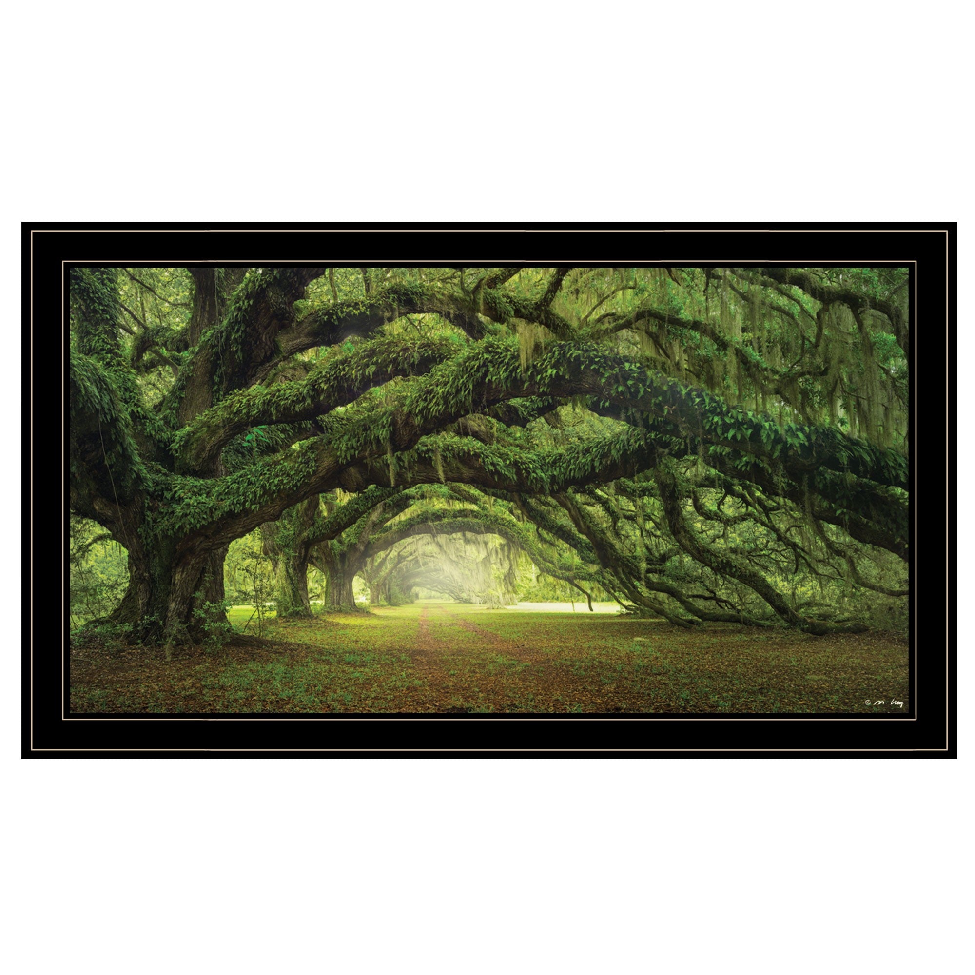 Passage 3 Black Framed Print Wall Art