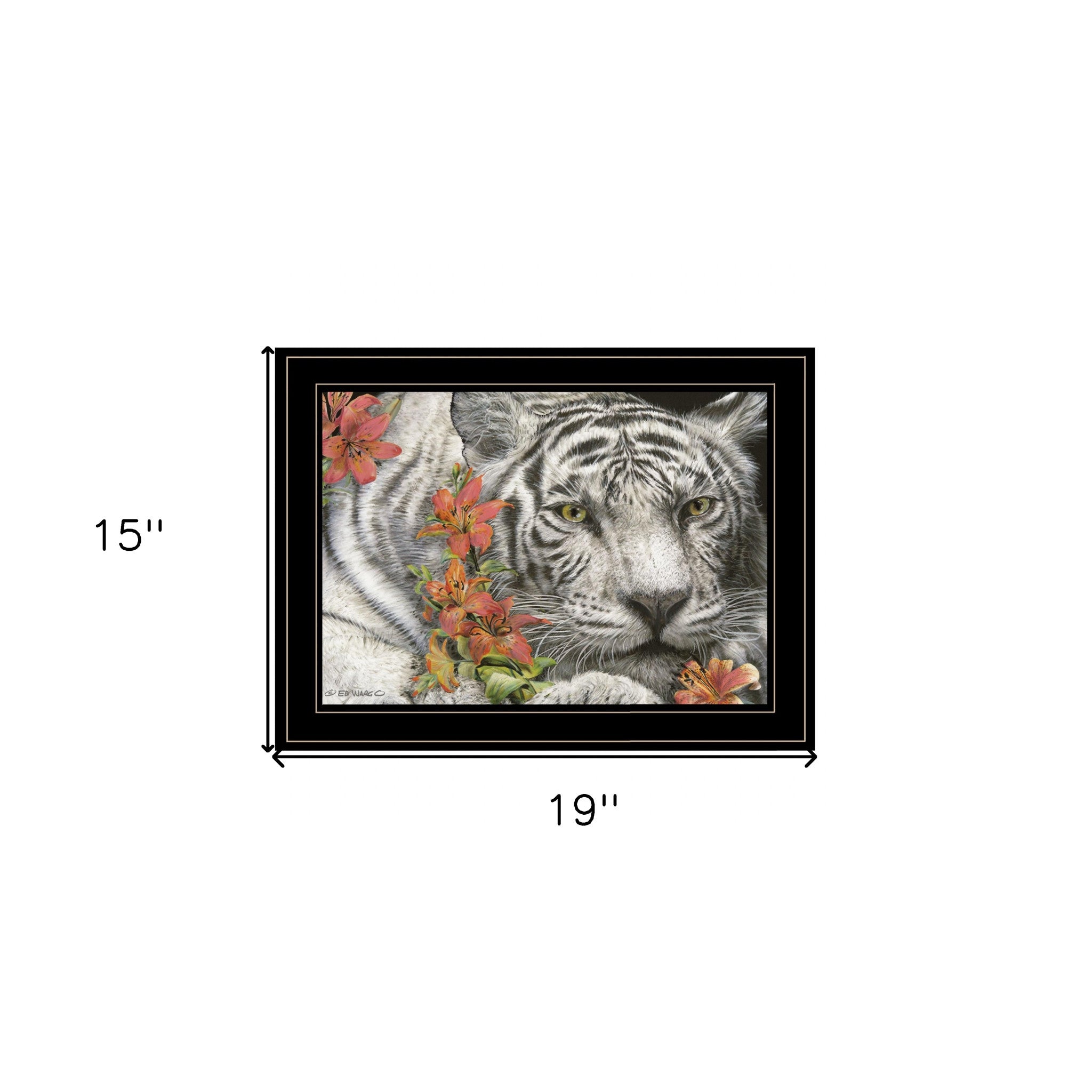 Tiger Lily 3 Black Framed Print Wall Art