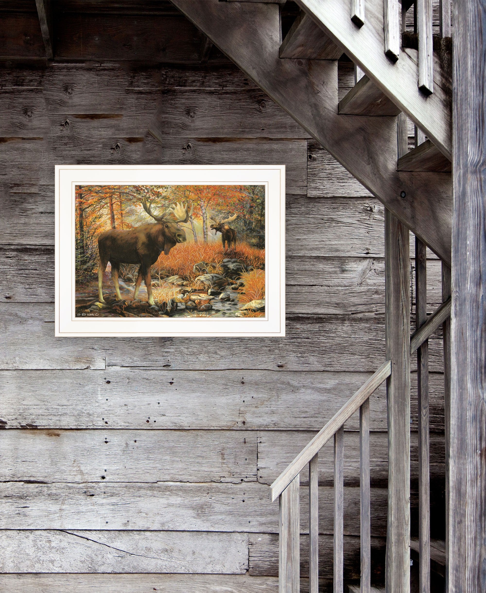 Call of the Wild 2 White Framed Print Wall Art