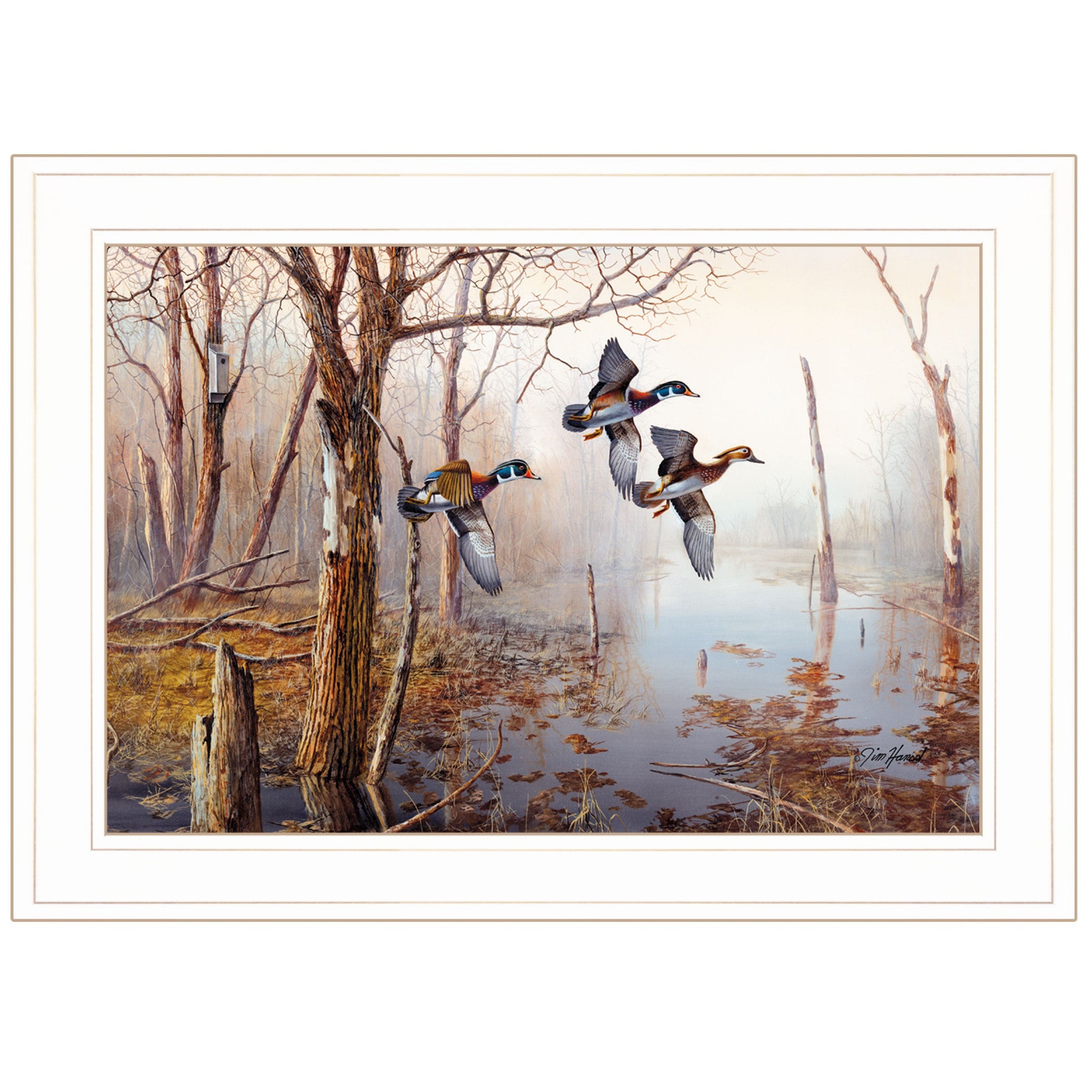 Master of His Domain Collection 1 White Framed Print Wall Art