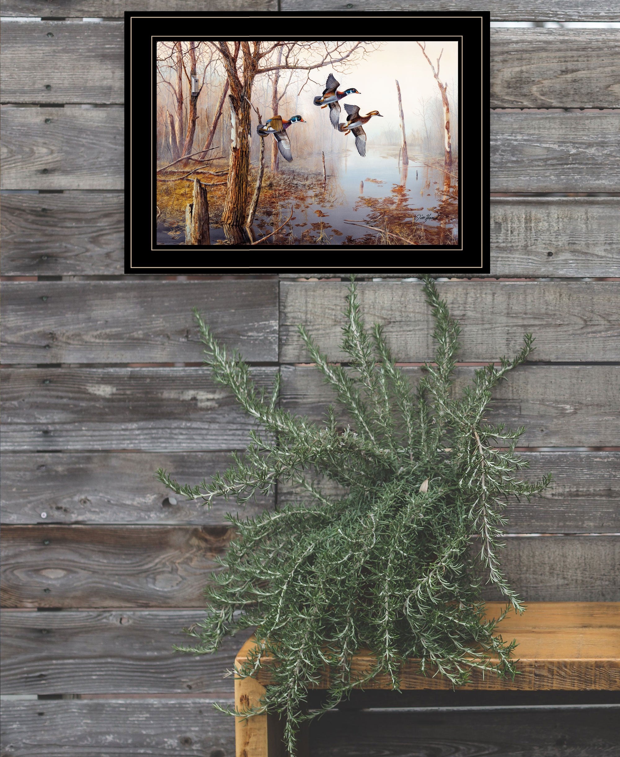 Master of His Domain Collection 2 Black Framed Print Wall Art