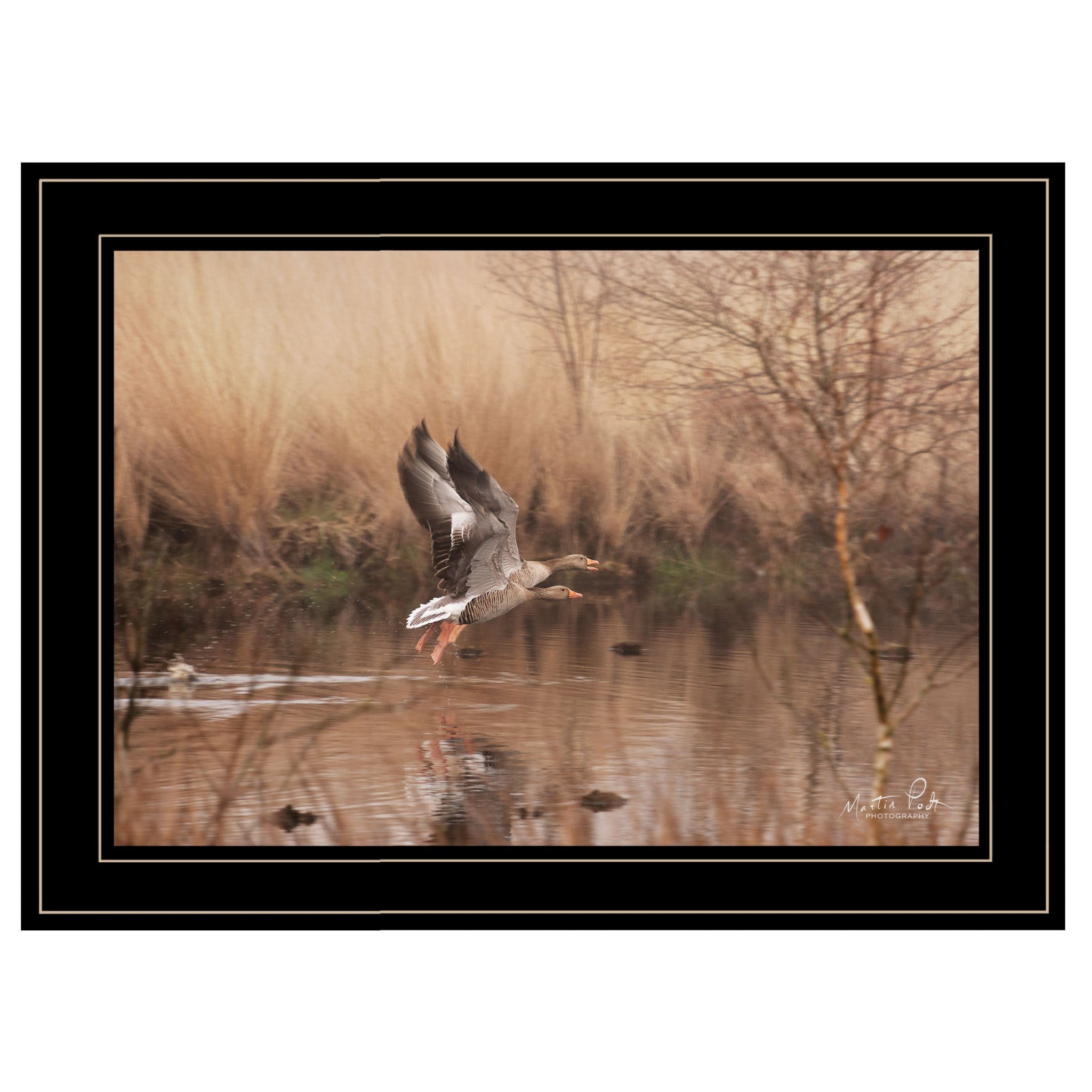 Fly Away 5 Black Framed Print Wall Art