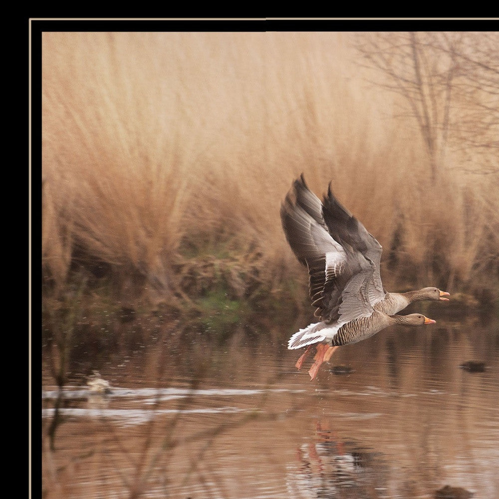 Fly Away 5 Black Framed Print Wall Art