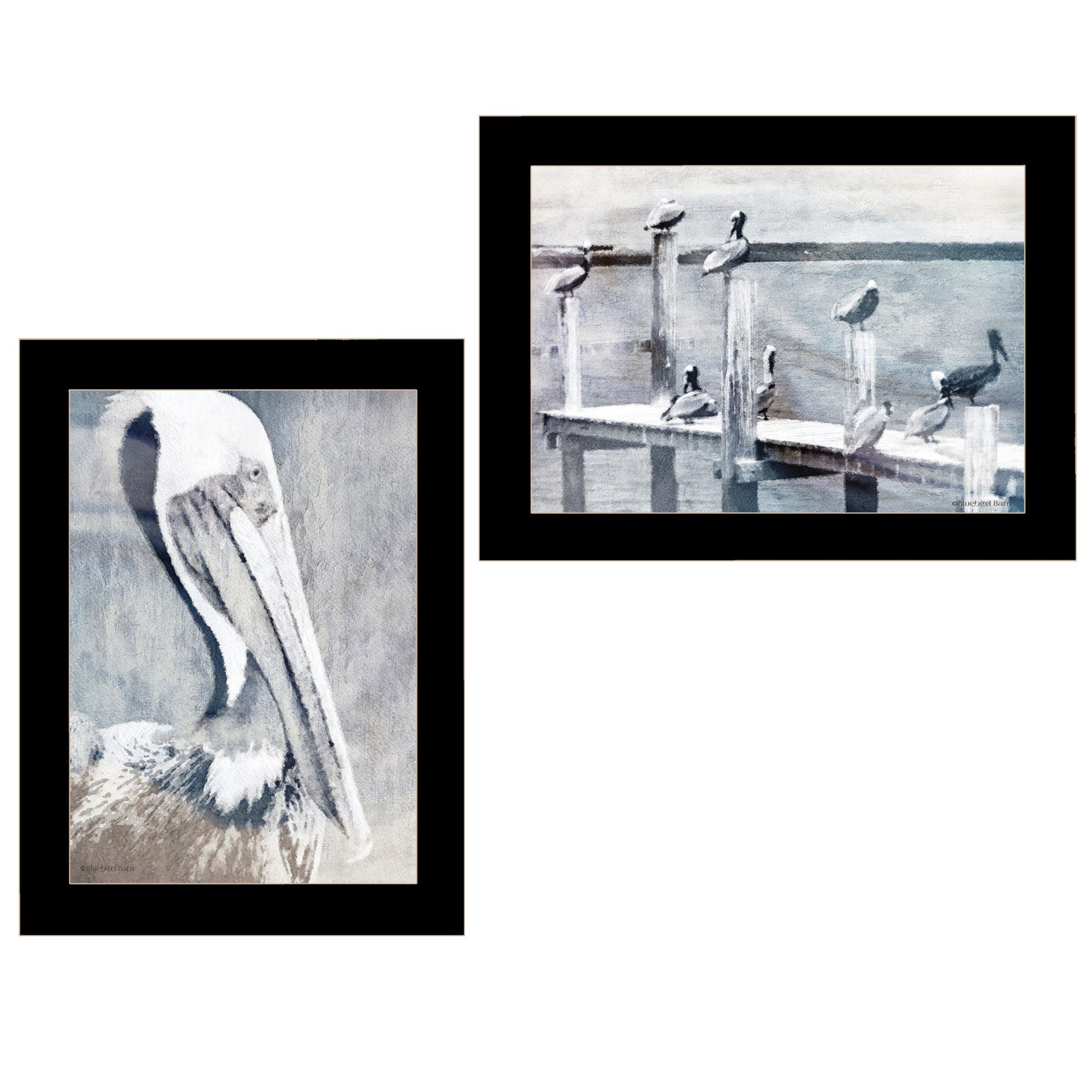 Set Of Two Pelican Party Black Framed Coastal Wall Art