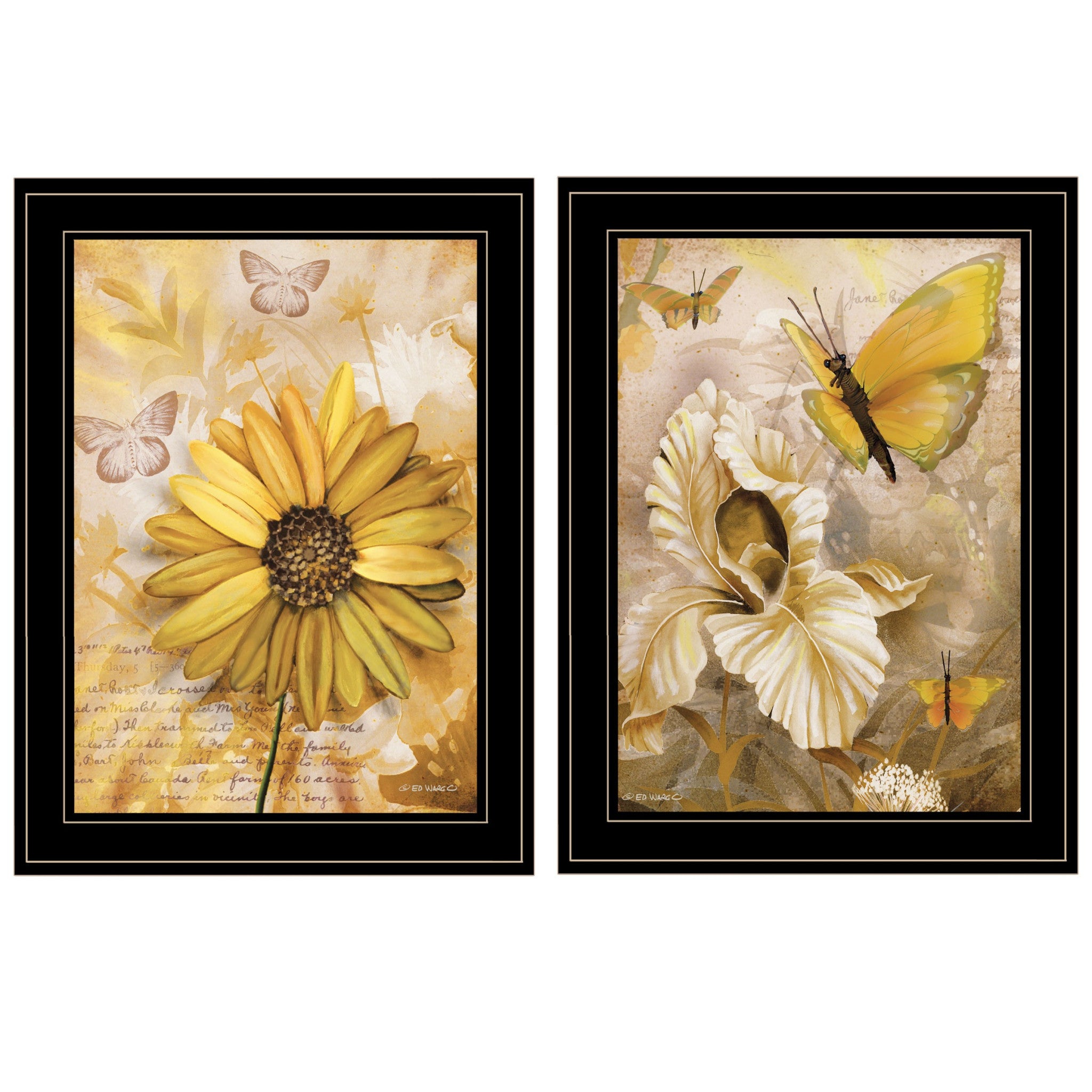 Set Of Two Flowers and Butterflies 2 Black Framed Print Wall Art