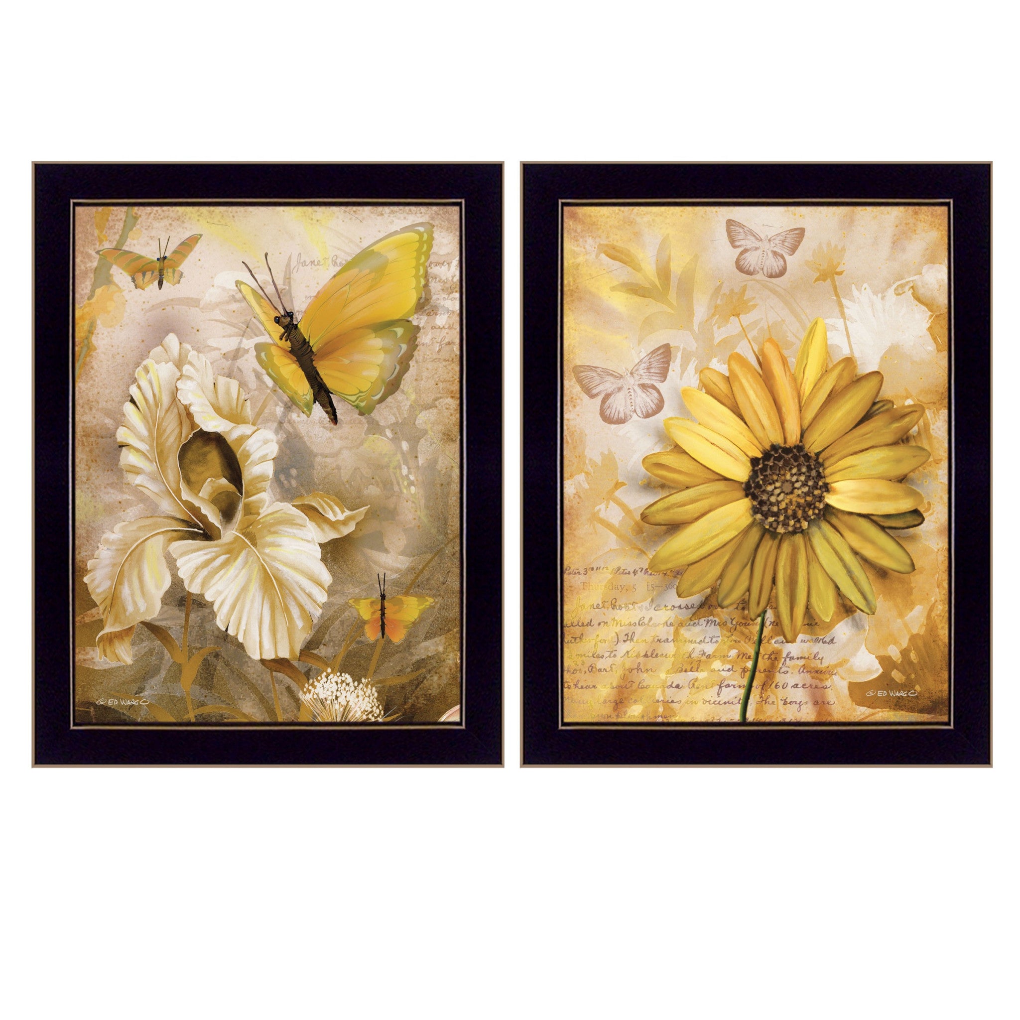 Set Of Two Flowers And Butterflies 3 Black Framed Print Wall Art