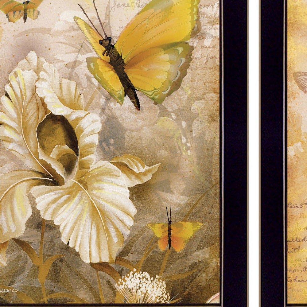 Set Of Two Flowers And Butterflies 3 Black Framed Print Wall Art