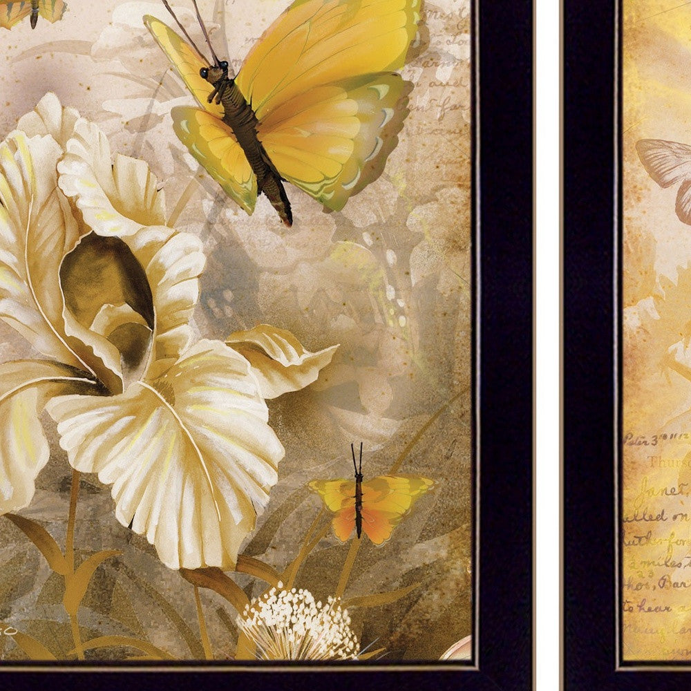 Set Of Three Butterflies 3 Black Framed Print Wall Art