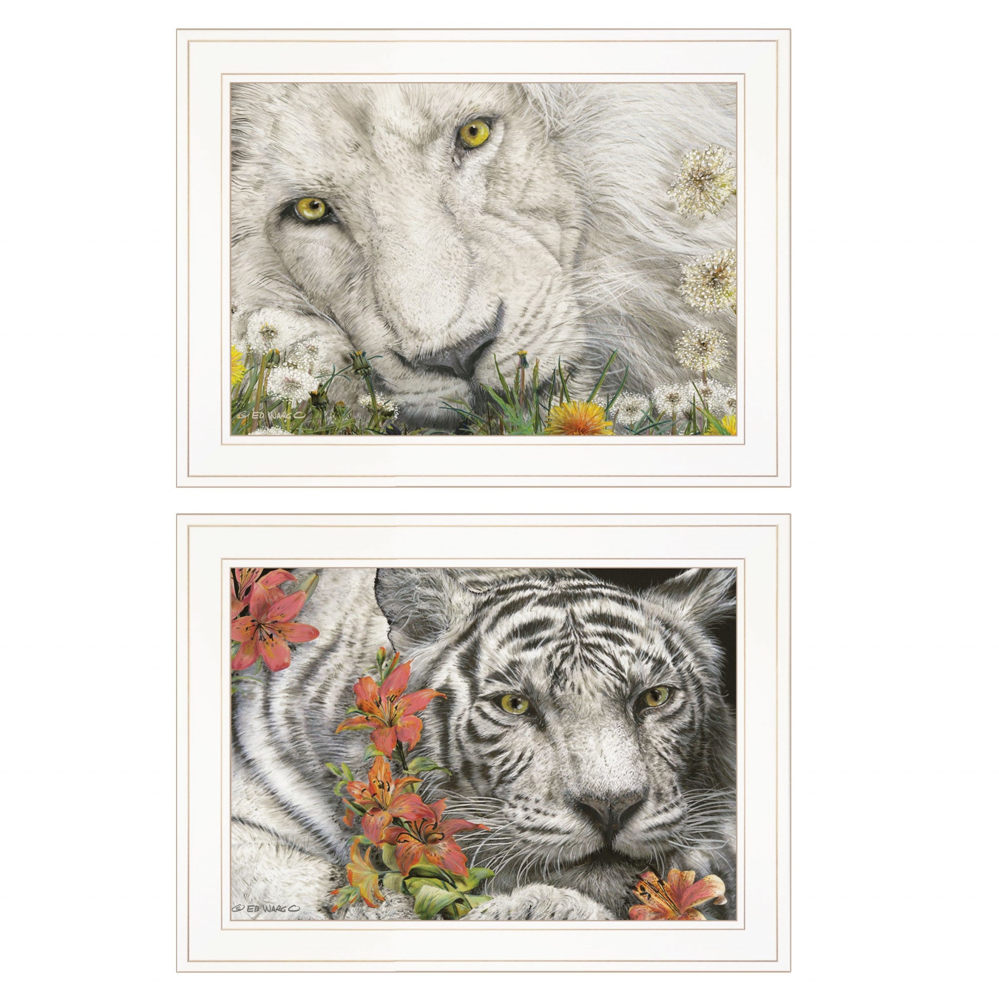 Set Of Two Tiger Lily Dandy Lion 1 White Framed Print Wall Art